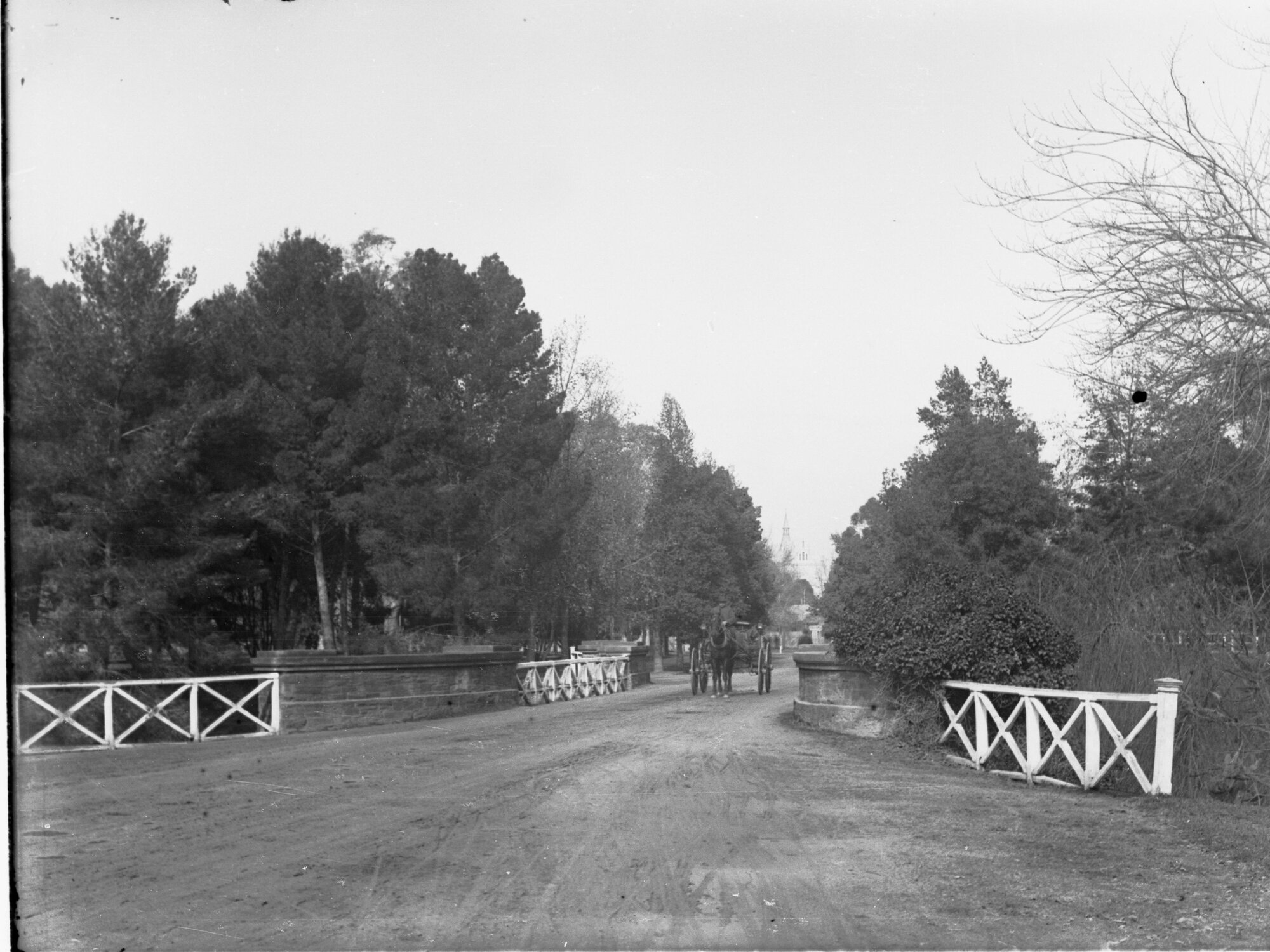 Horse and Cart on Victoria Drive, Botanic Park, Adelaide