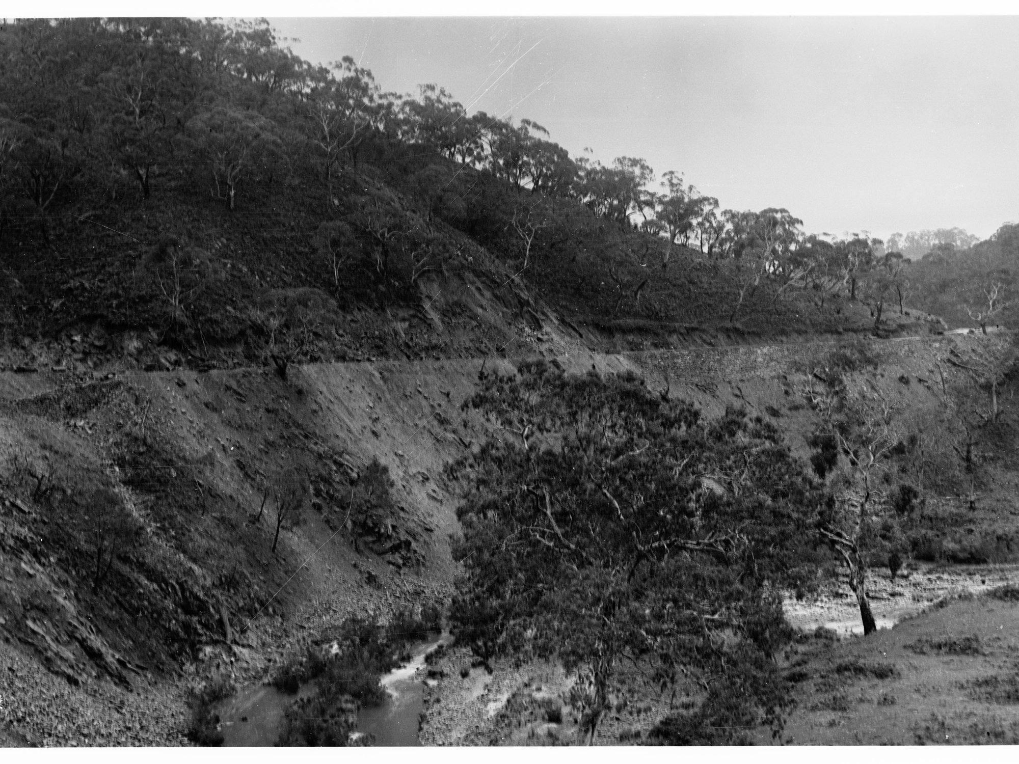 Torrens Gorge