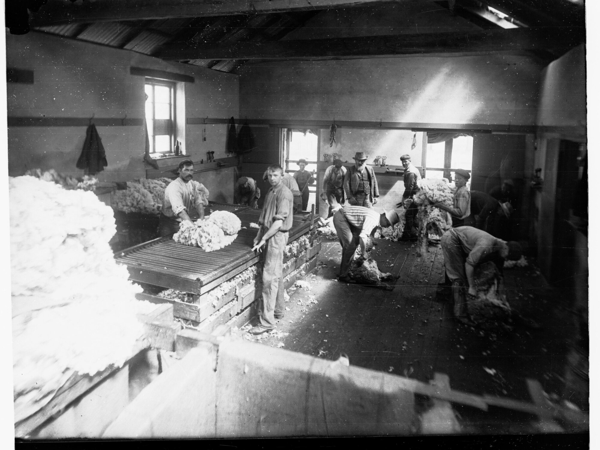 Shearing by Hand at Mount Crawford