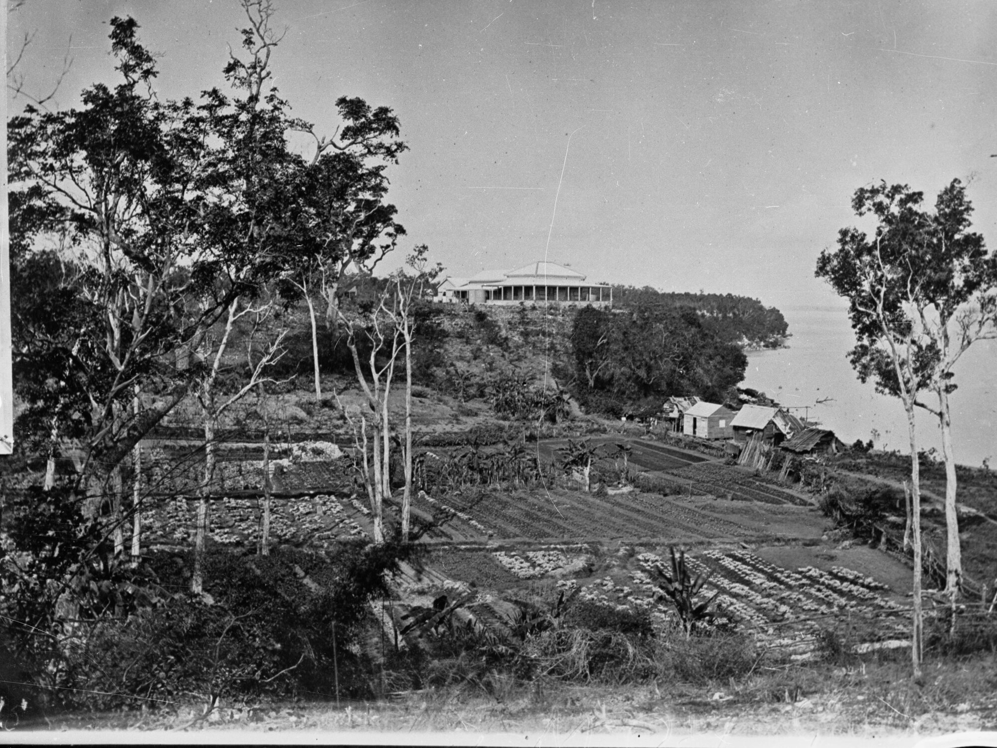 Northern Territory,  area unknown, possibly Darwin