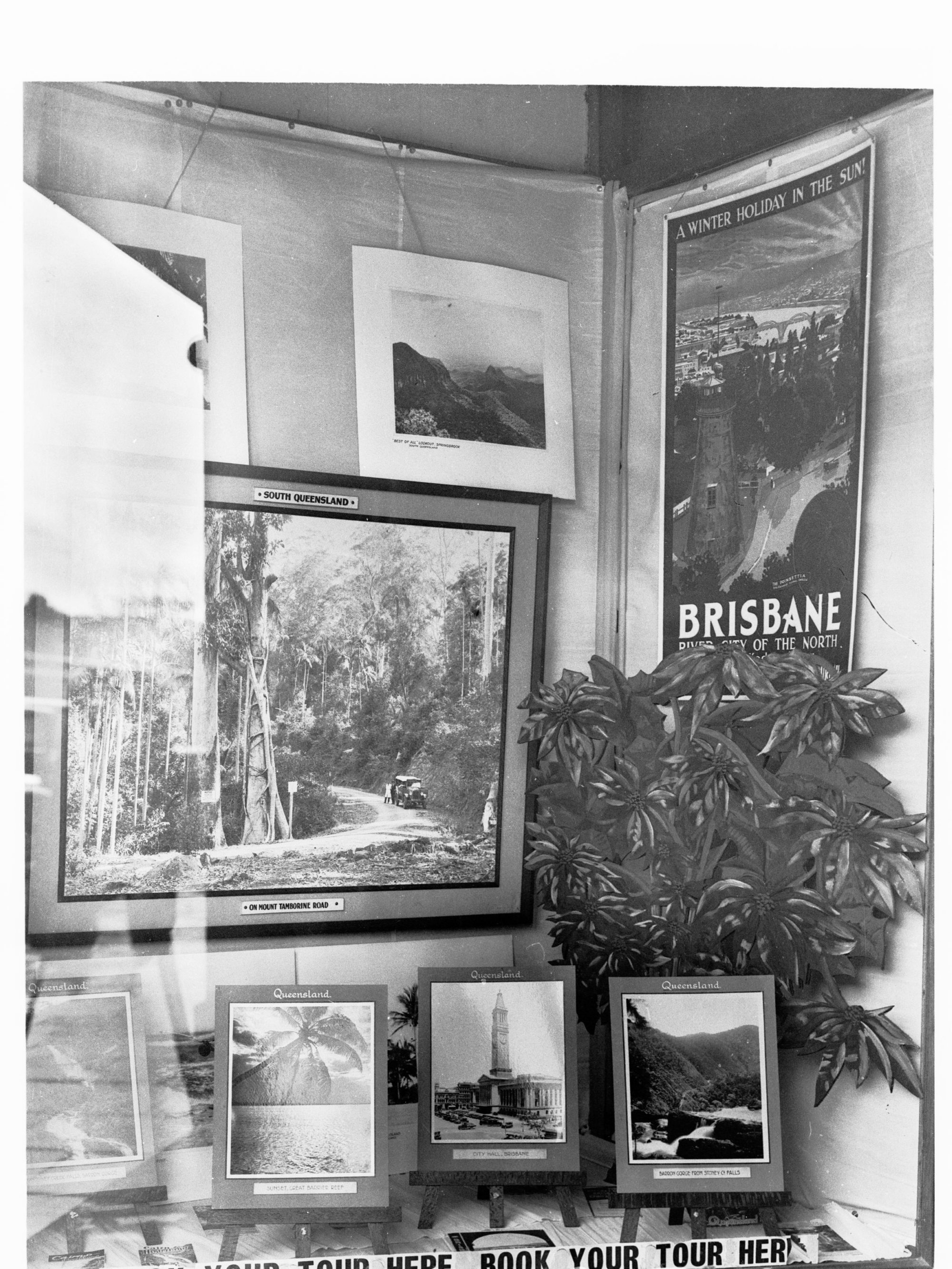 Window display promoting Queensland - Queensland Government Tourist Bureau