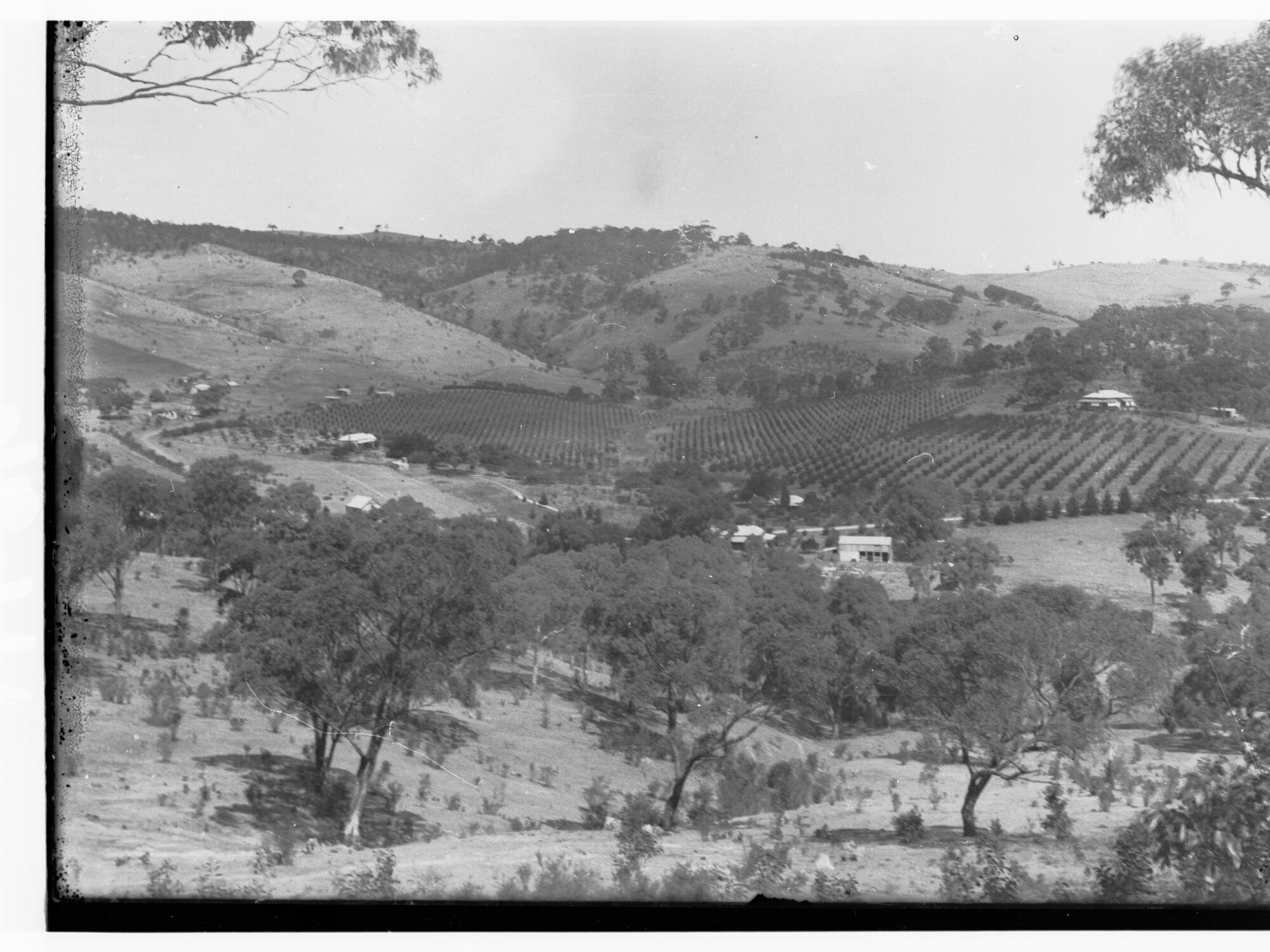 Coromandel Valley