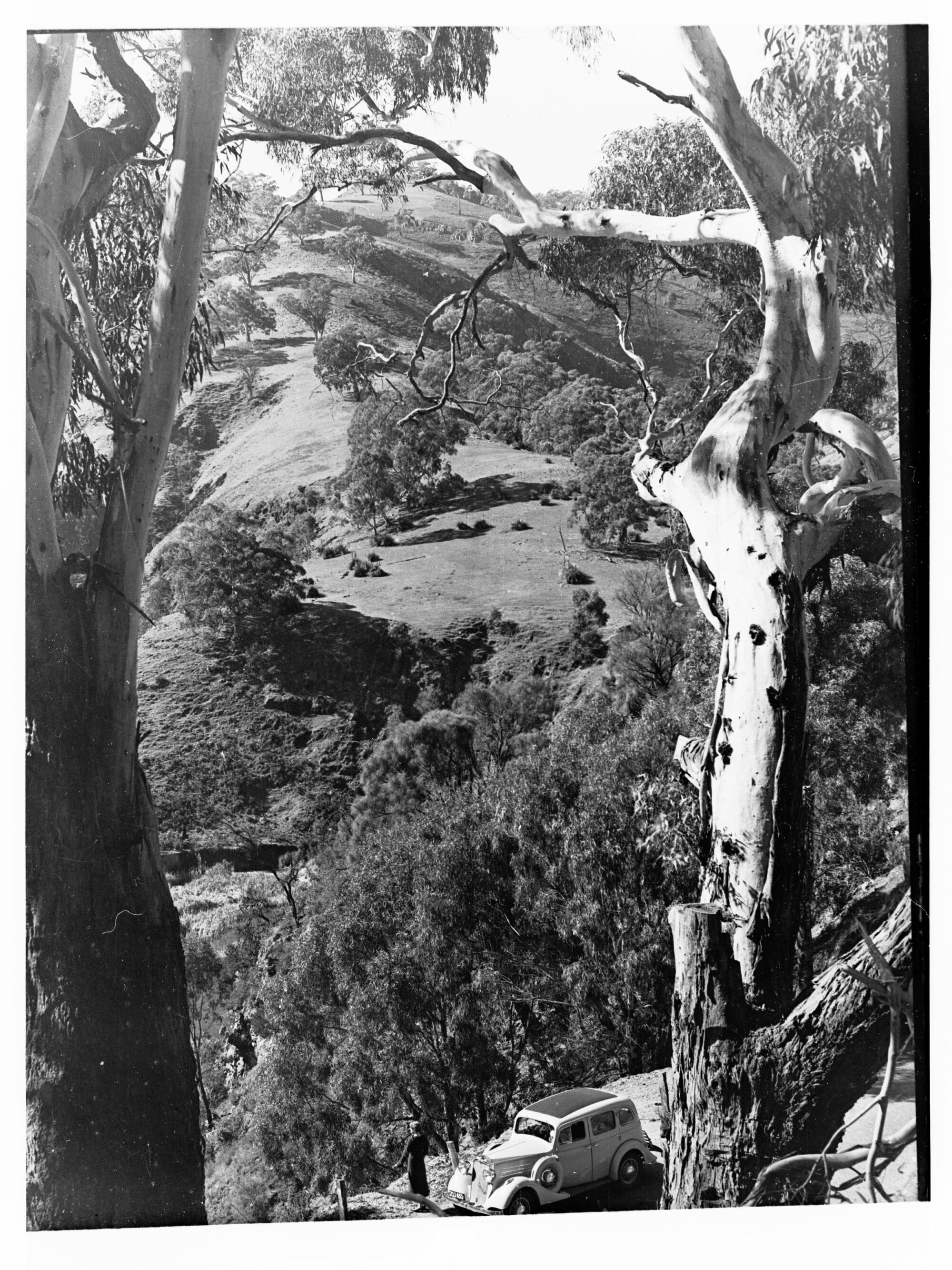 Waterfall Gully 