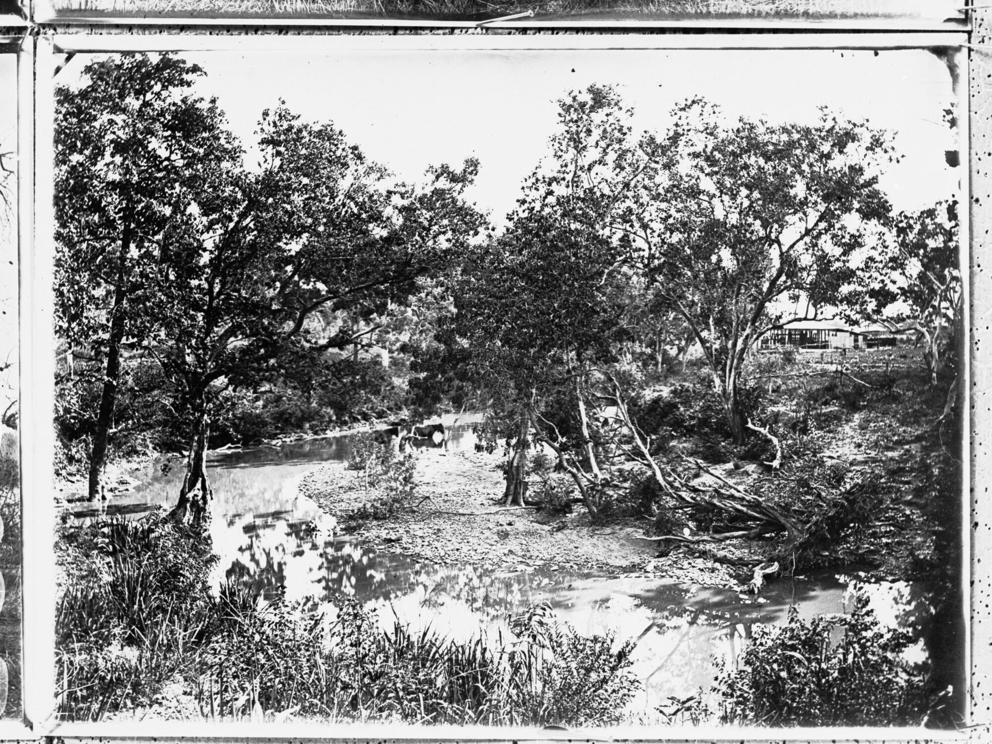 View on McKinlay River,  Northern Territory