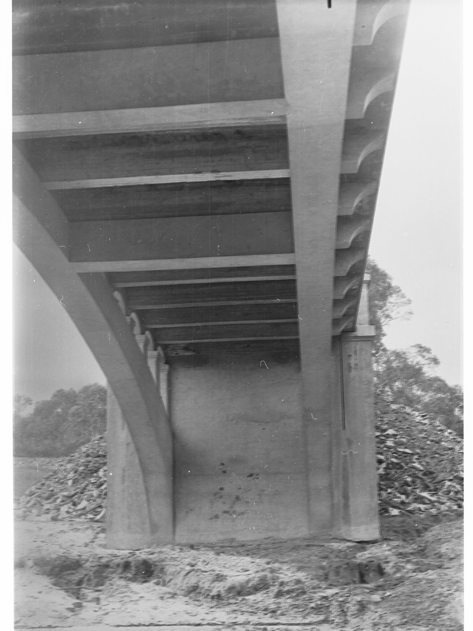 Underneath a Bridge Over the River Torrens