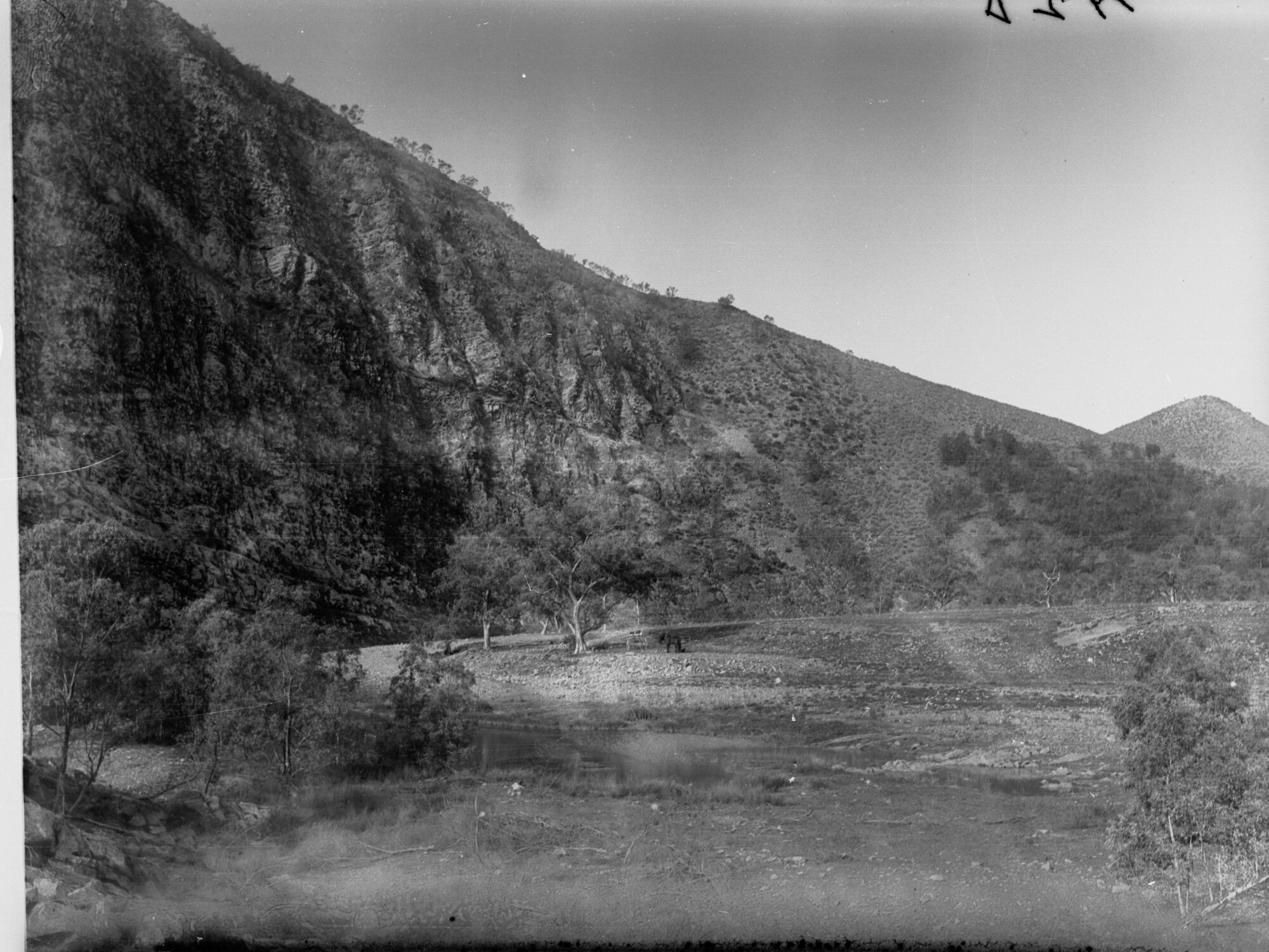 Rural view,  horse and cart in distance