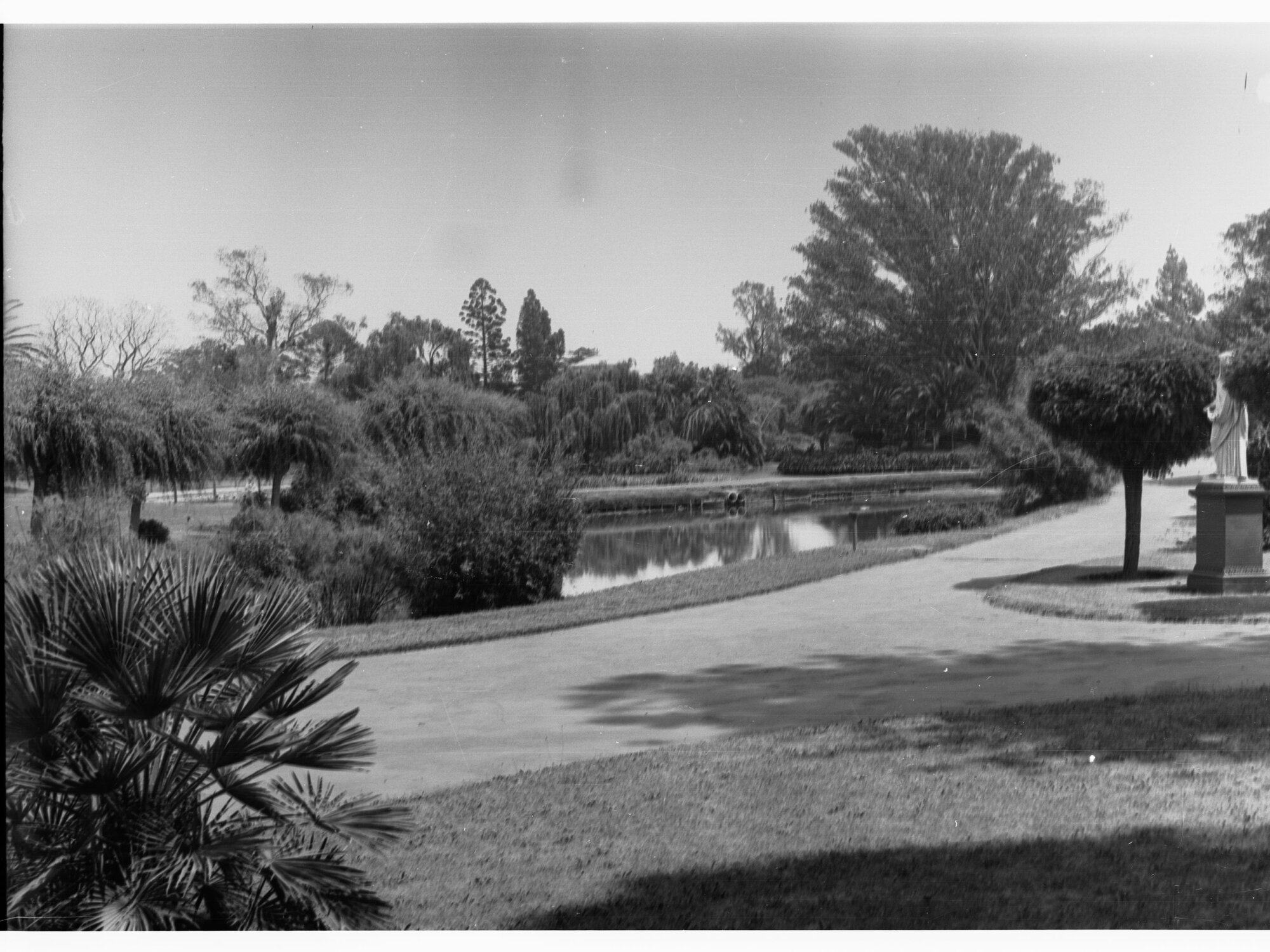 Botanic Gardens showing walkway and people