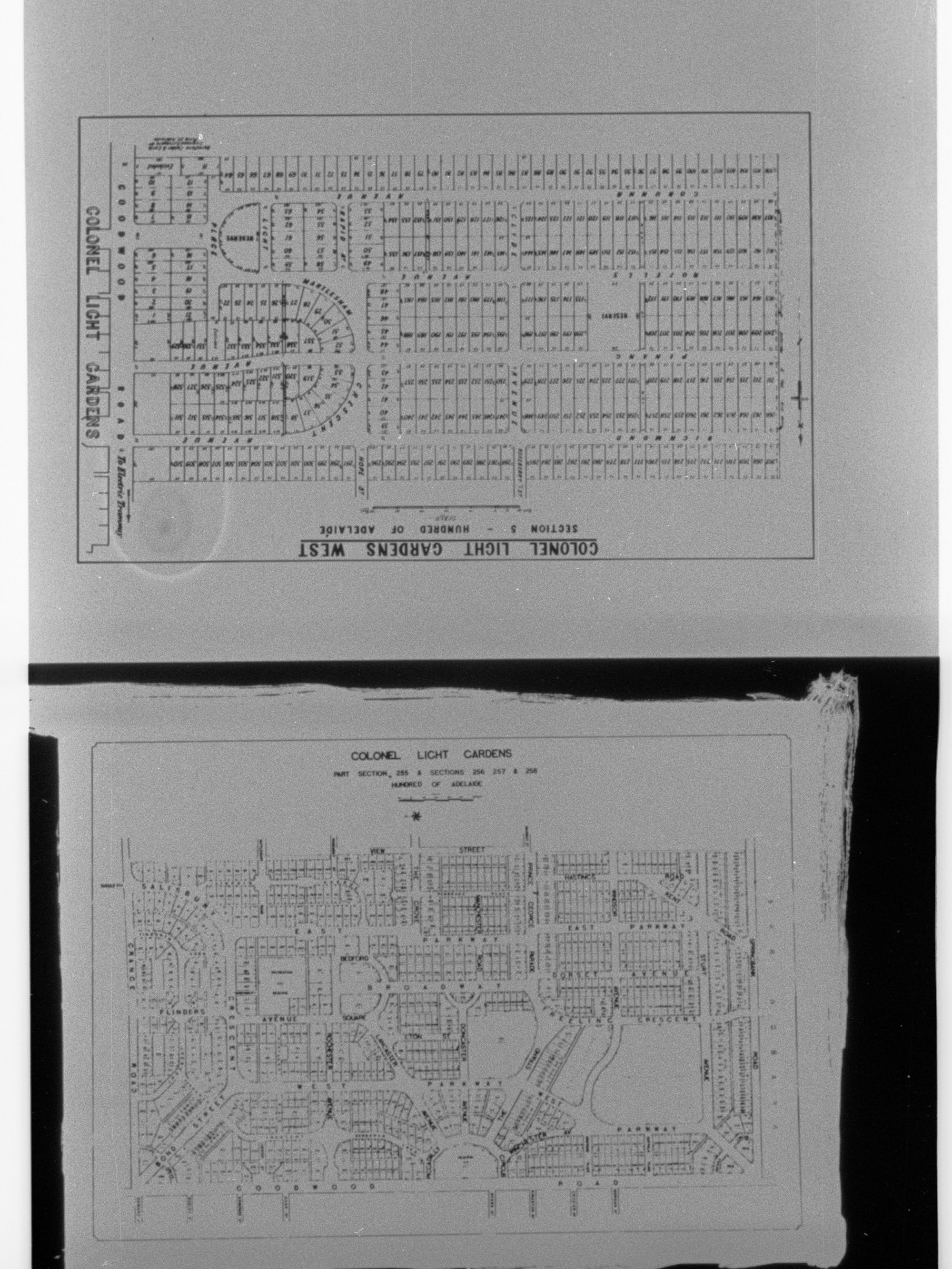 Plans for Colonel Light Gardens