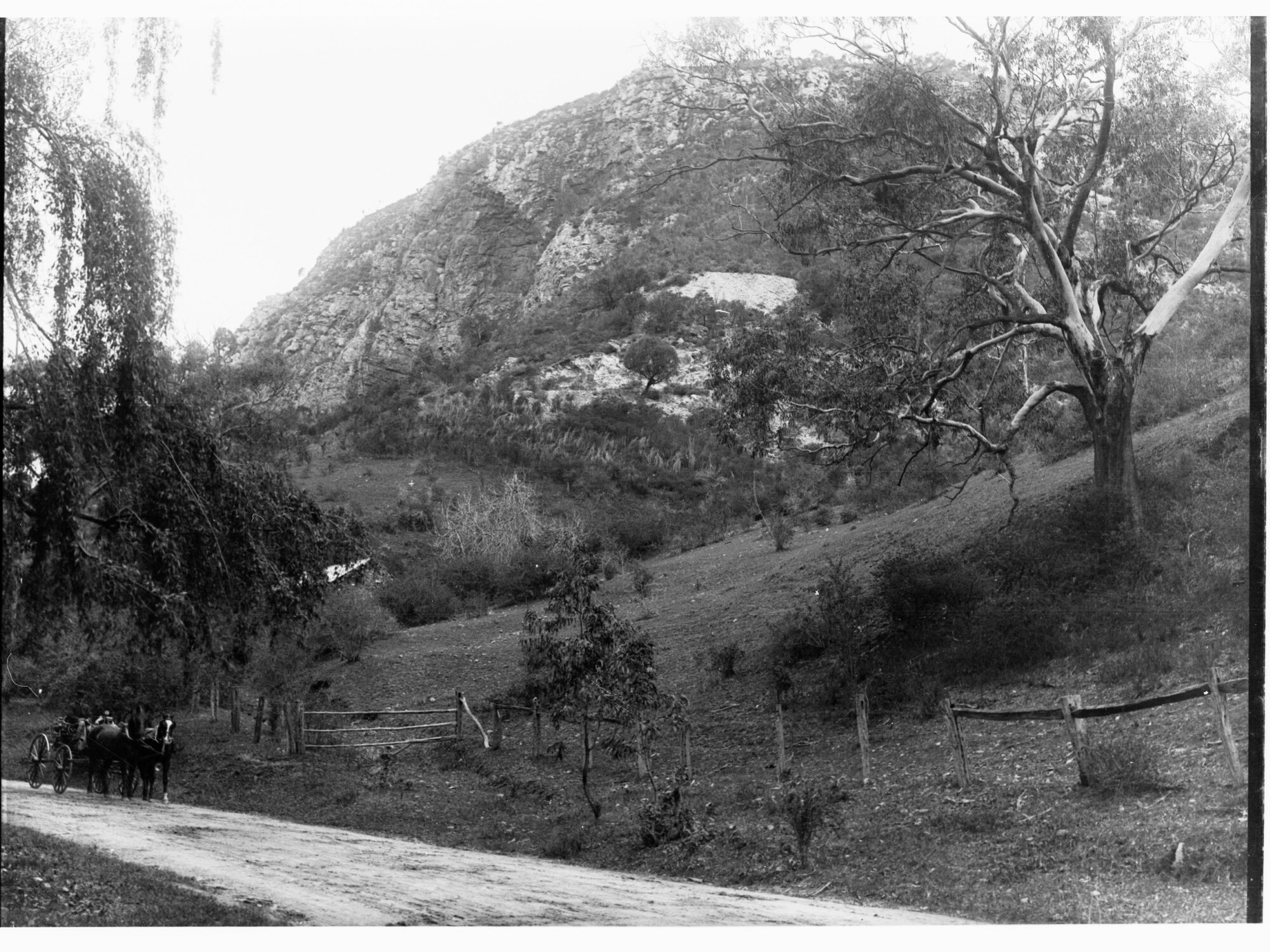 View in Mount Lofty Ranges, Duke of Wellington's Head, probably old Norton Summit Road