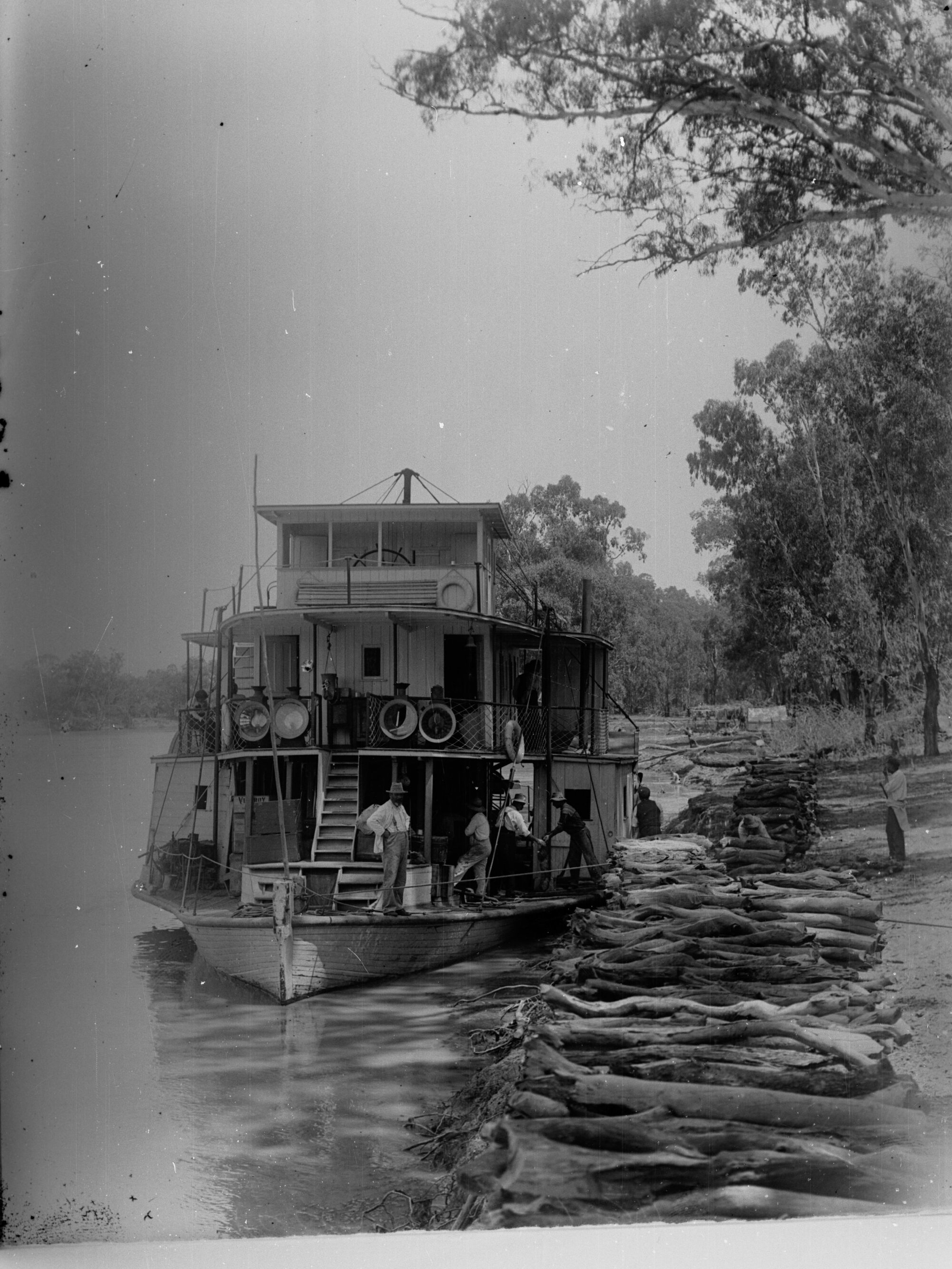 Loading wood on River Murray steamer