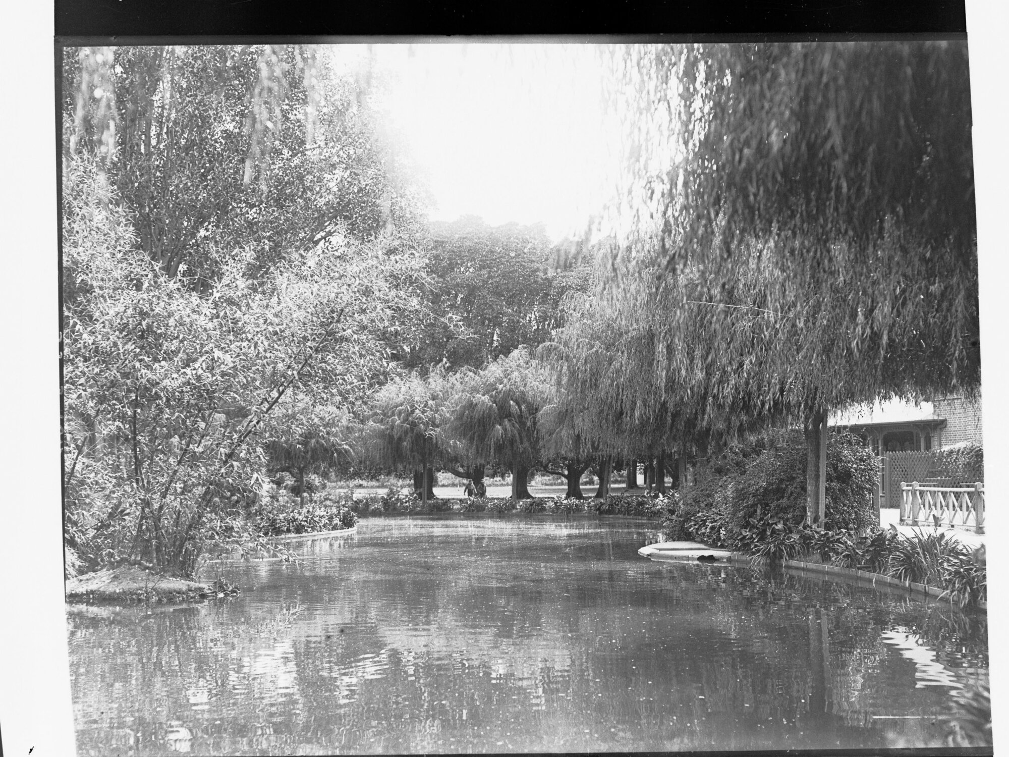 The Botanic Gardens
