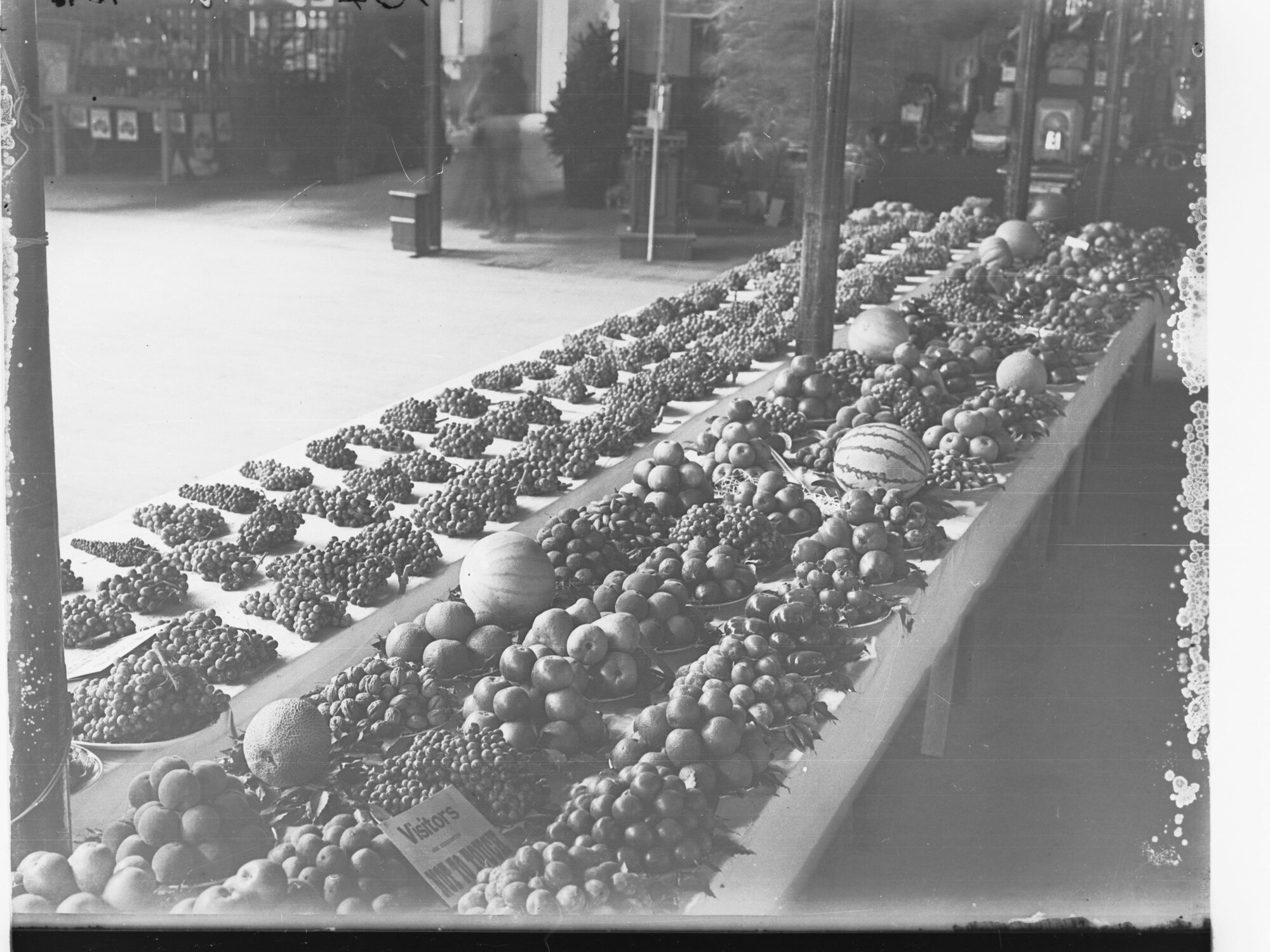 Fruit Exhibition