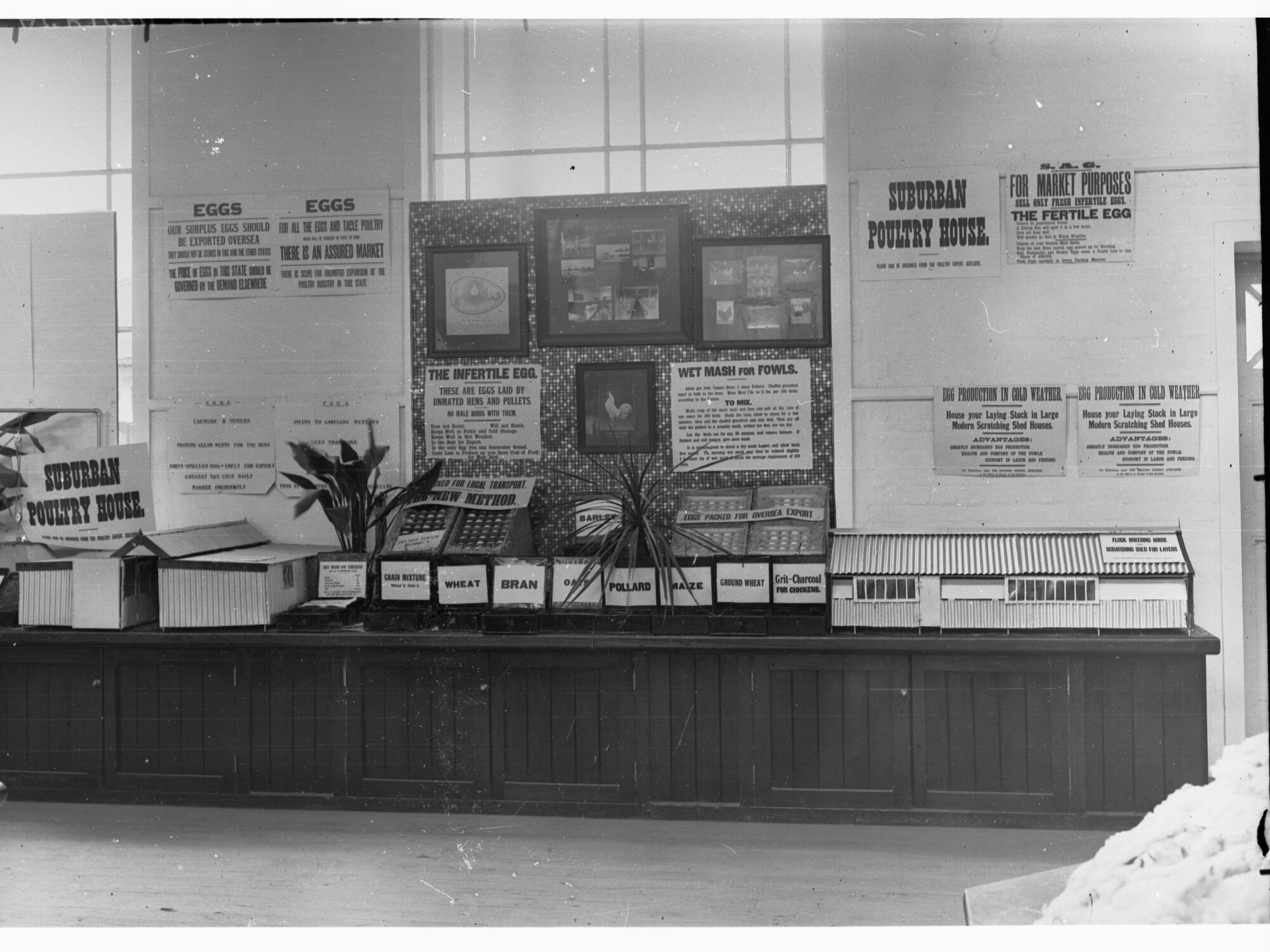 Agricultural Department show - poultry exhibition