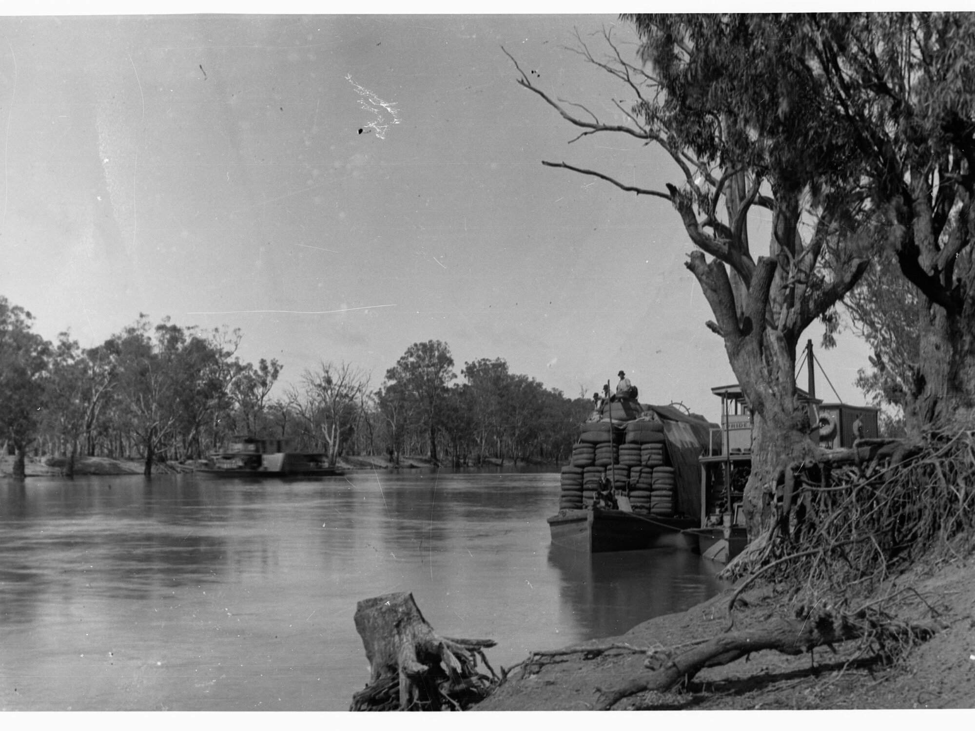 River Murray - Paddlesteamer and barge laden with wool
