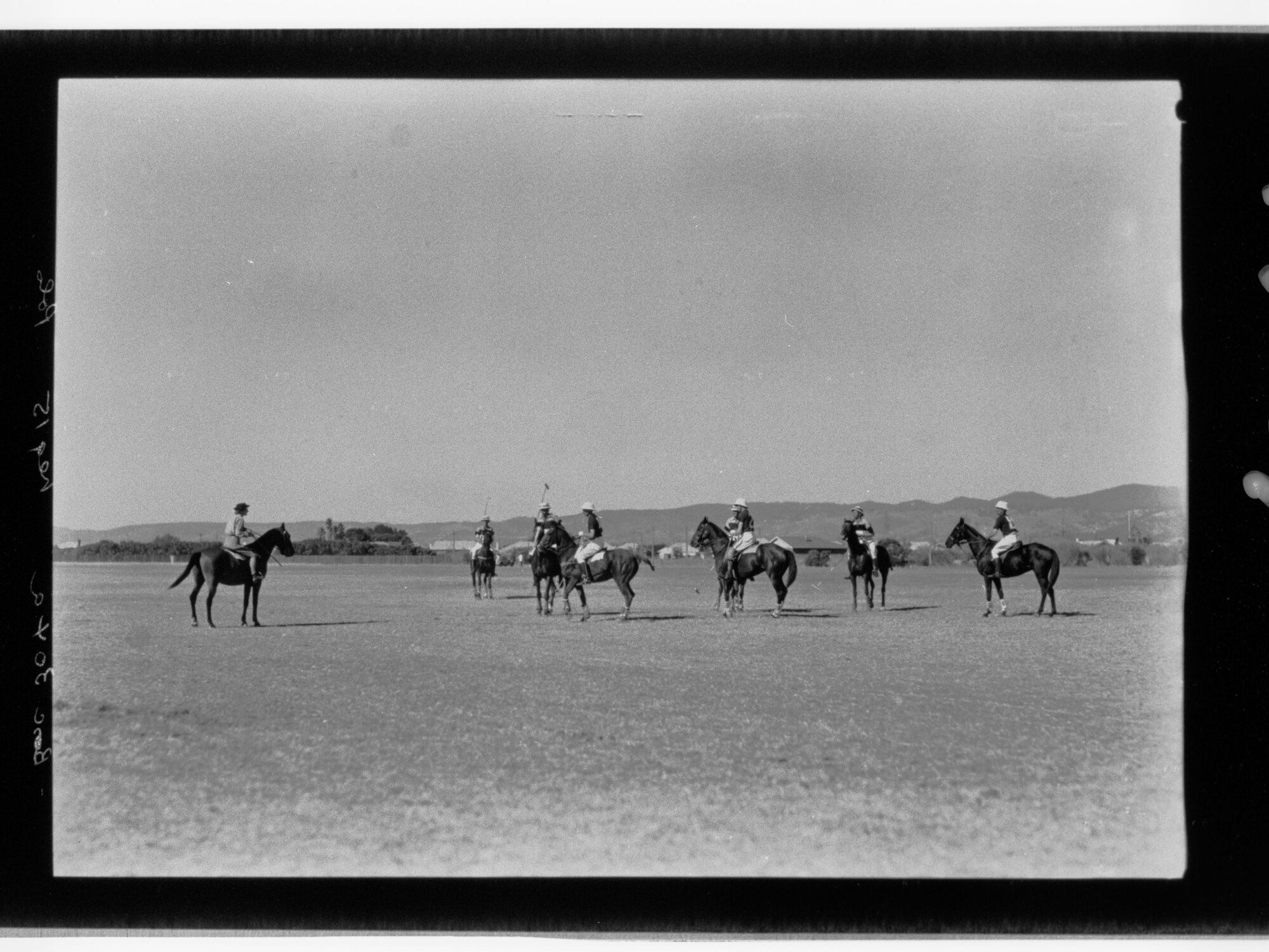 Polo Match 