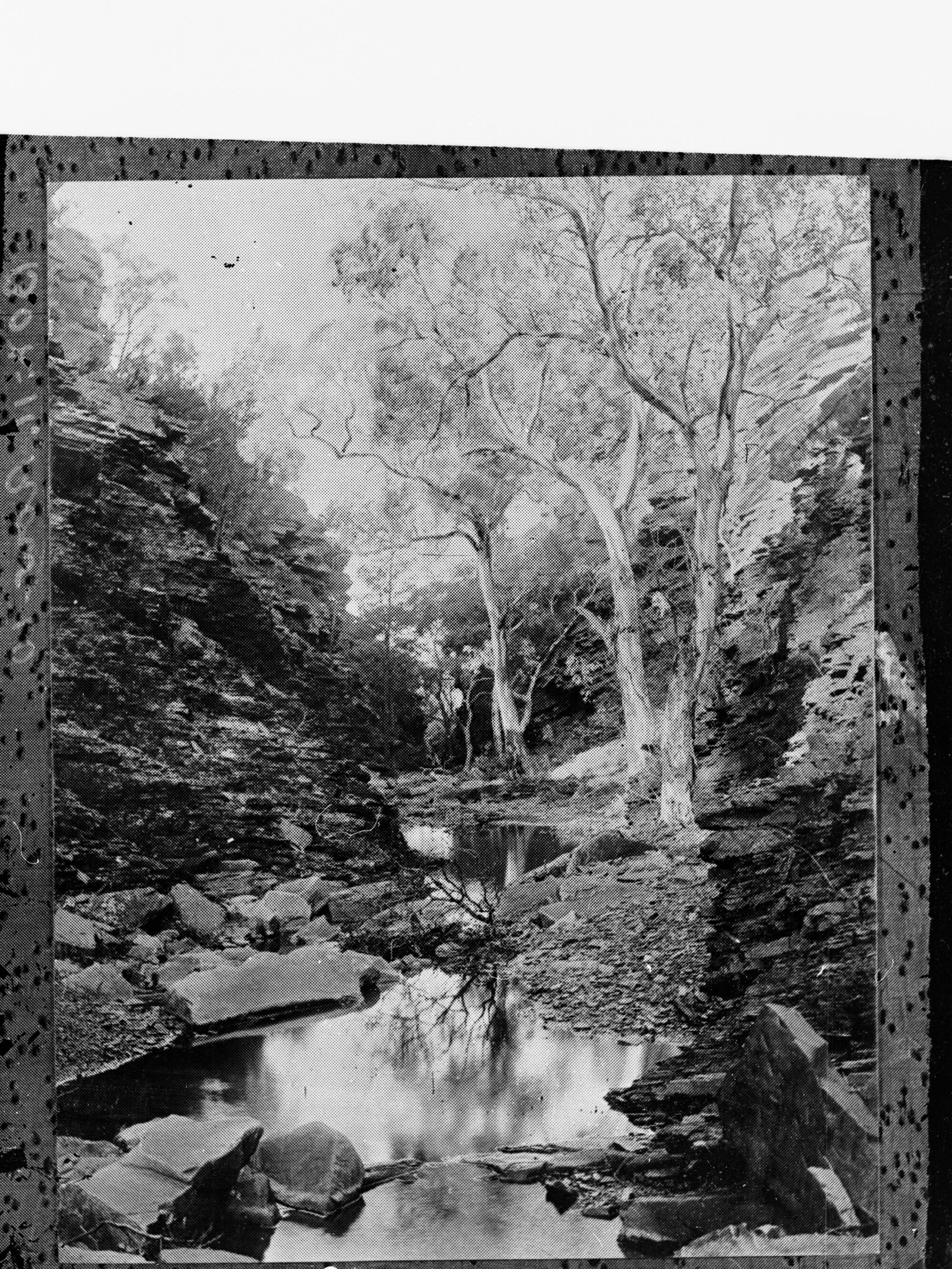 Creek, unknown location