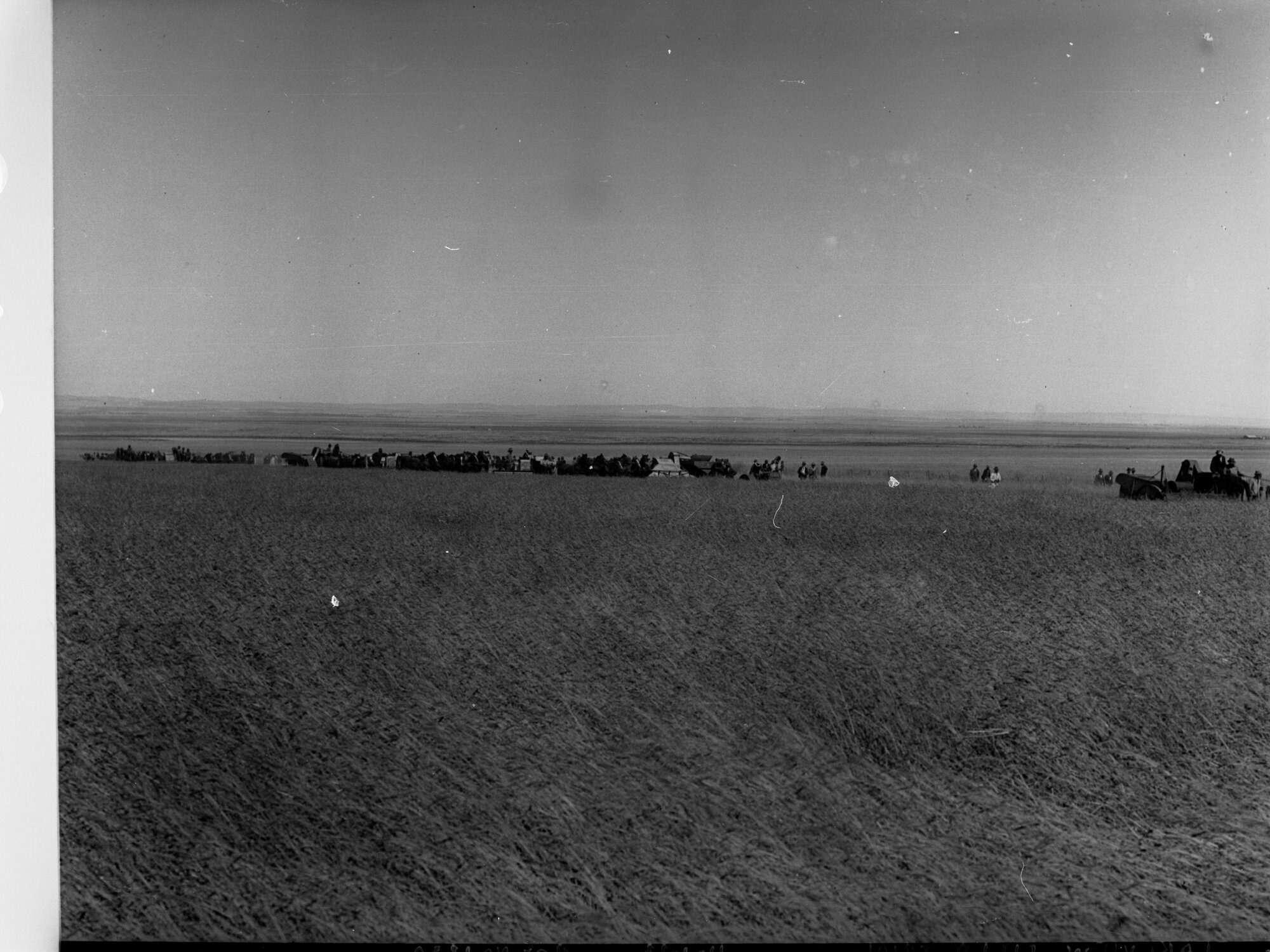 Lake View Field Trials Harvesters in a field