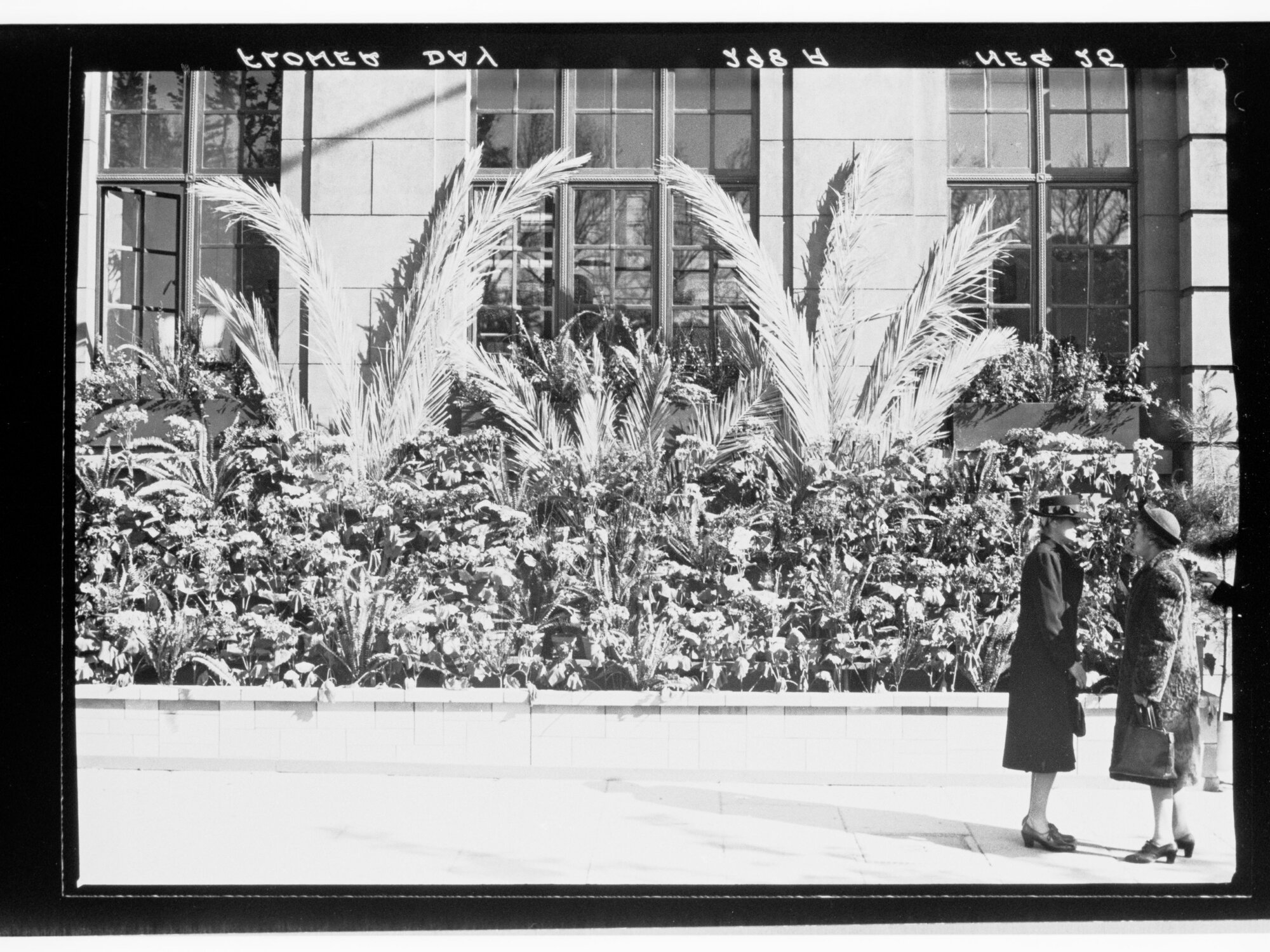 Flower Day - flower and plant display outside building