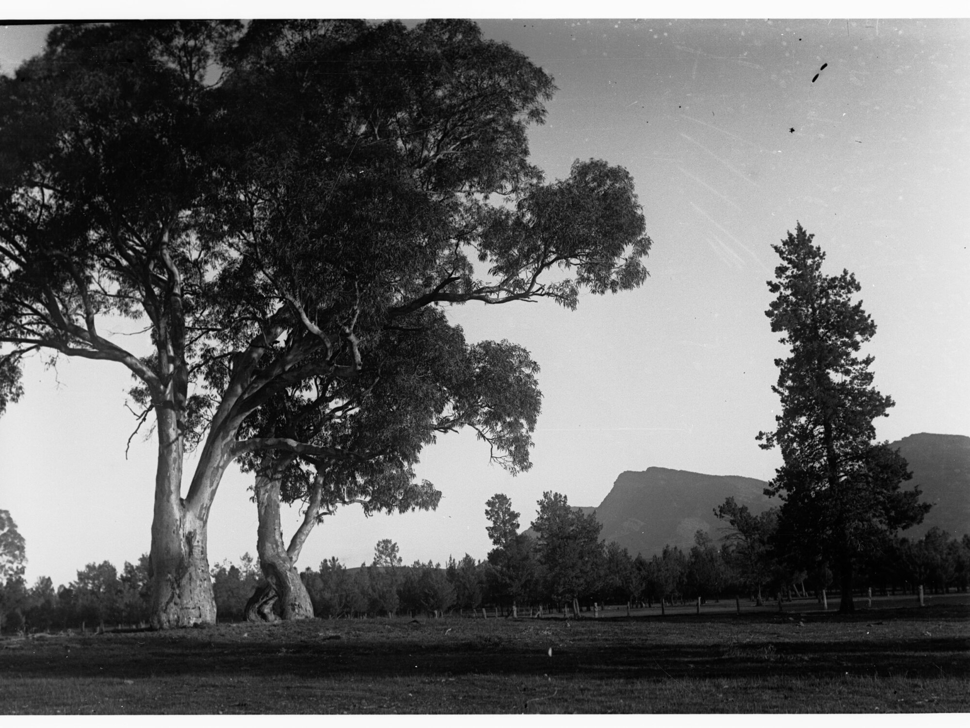 Rural View of Wilpena Pound