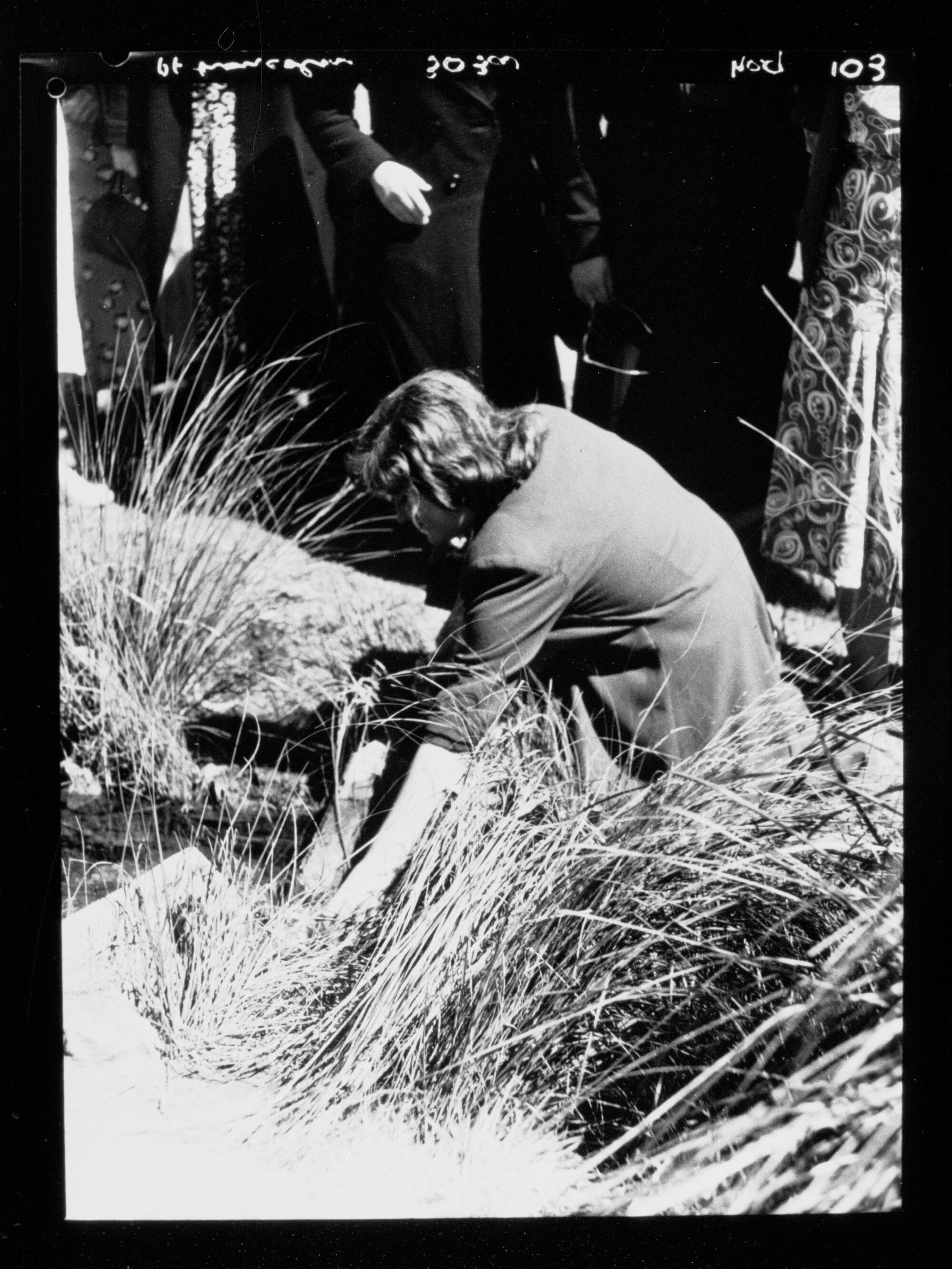 Port Lincoln (woman crouched down in long grass/reeds)