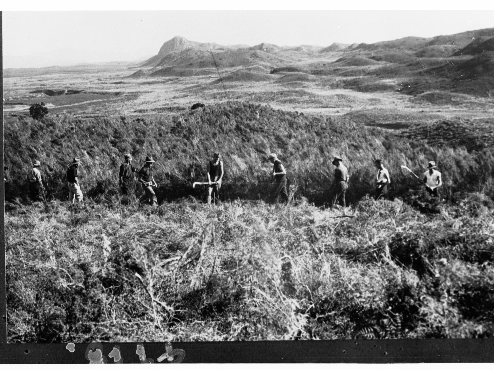 Men Reaping Field