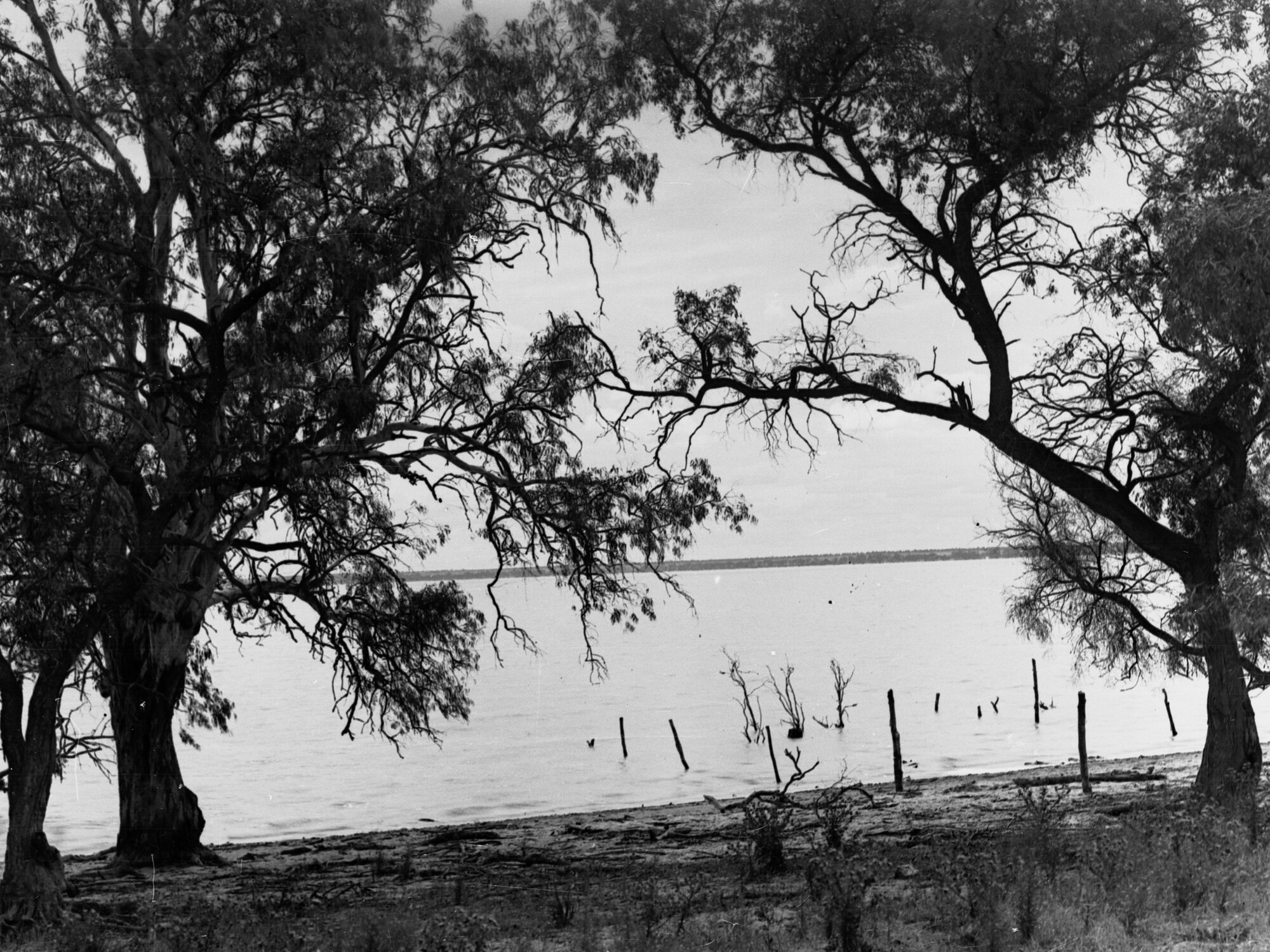 Lake Bonney Murray River