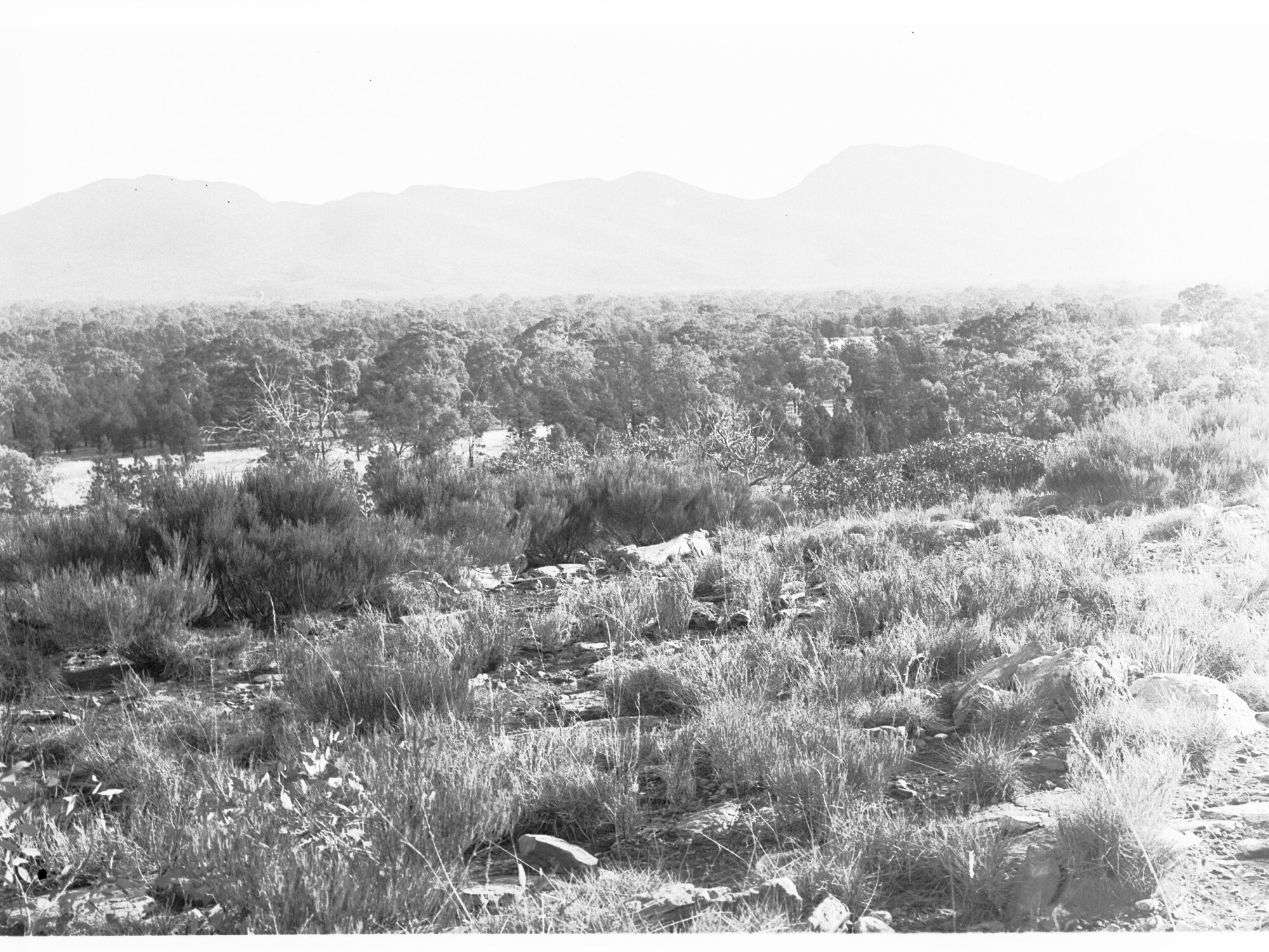 Bush scene with mountains in the distance - location unknown