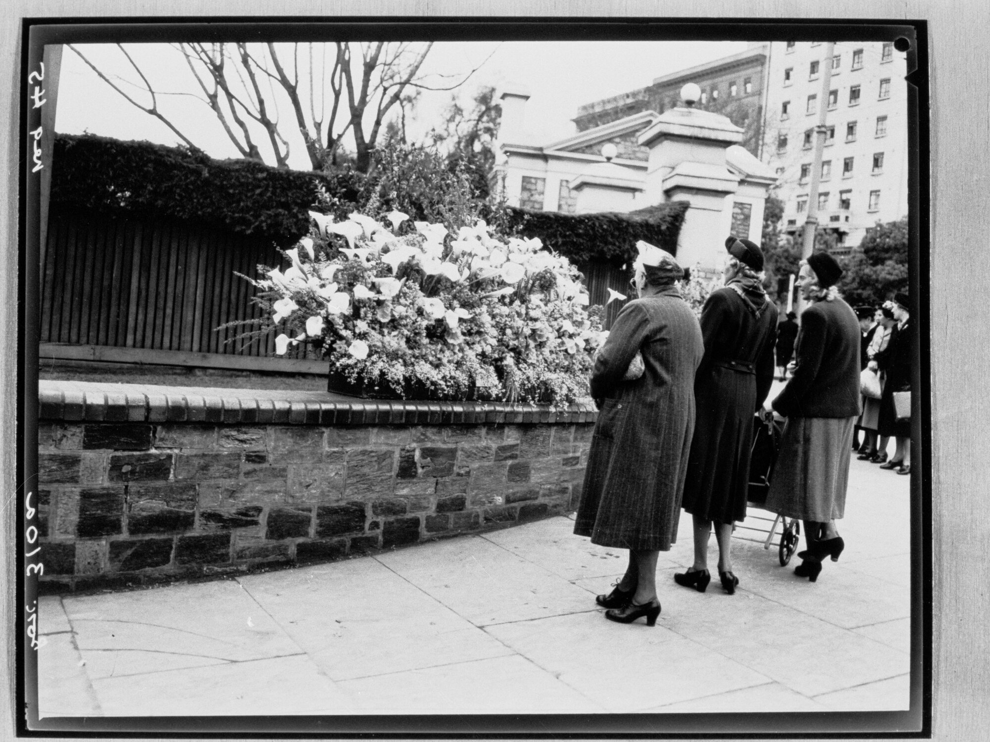 National Flower Day Festival held in Adelaide on the 21st September 1949