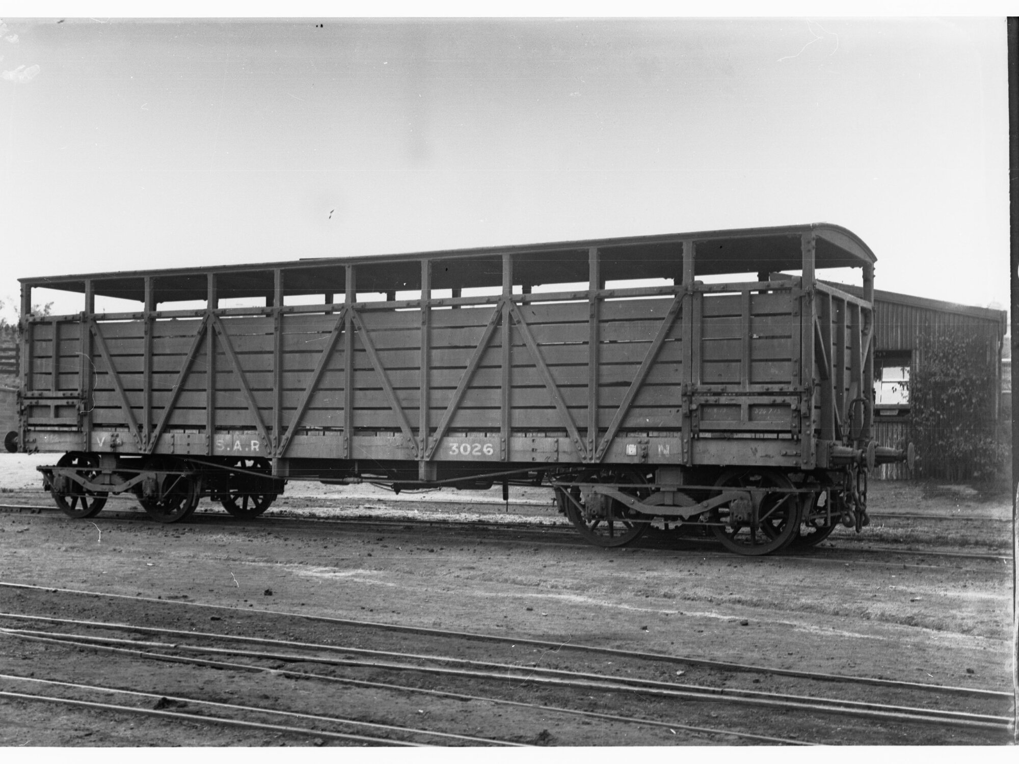 Cattle Truck