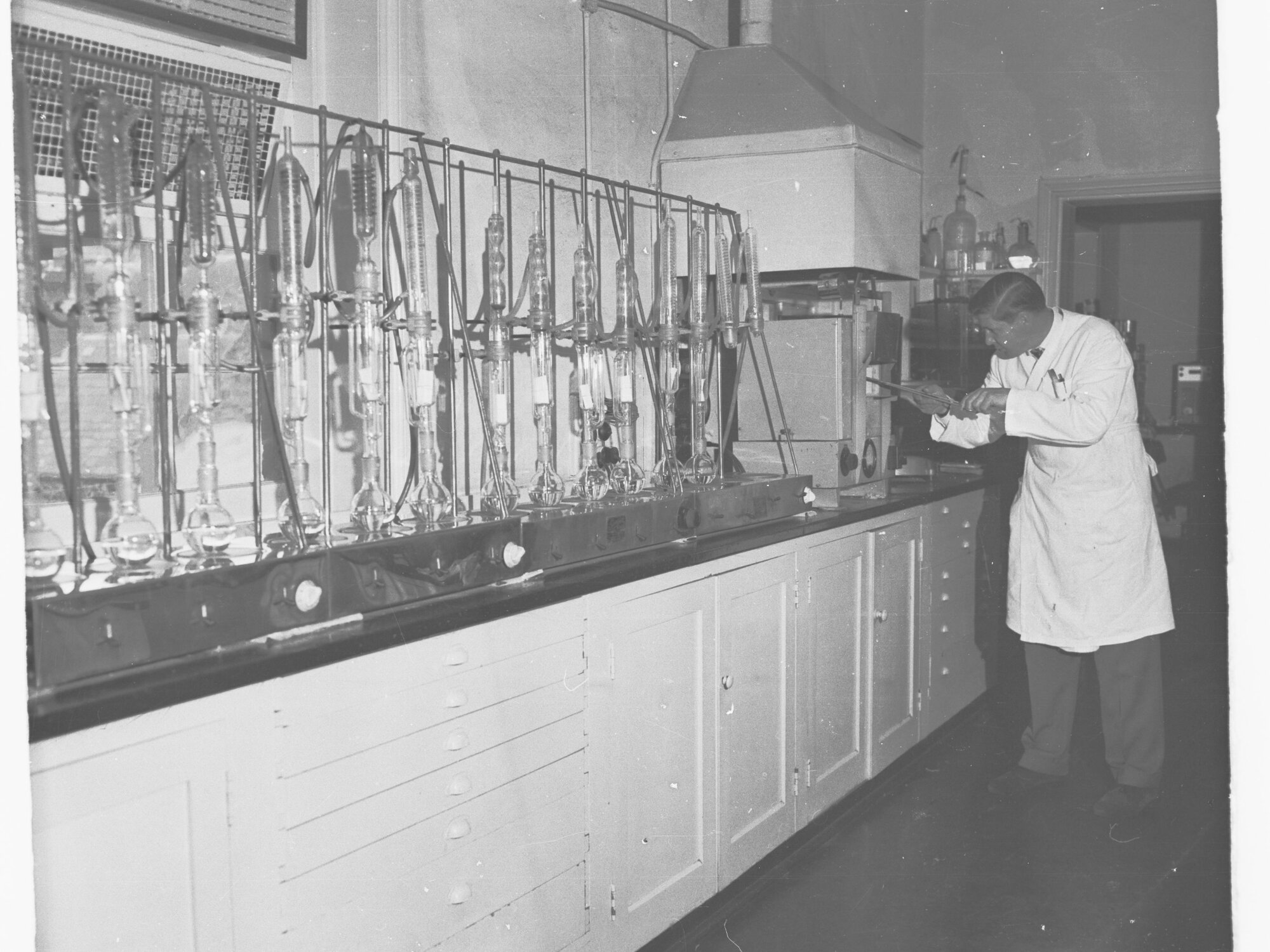 Scientist Working in a Laboratory
