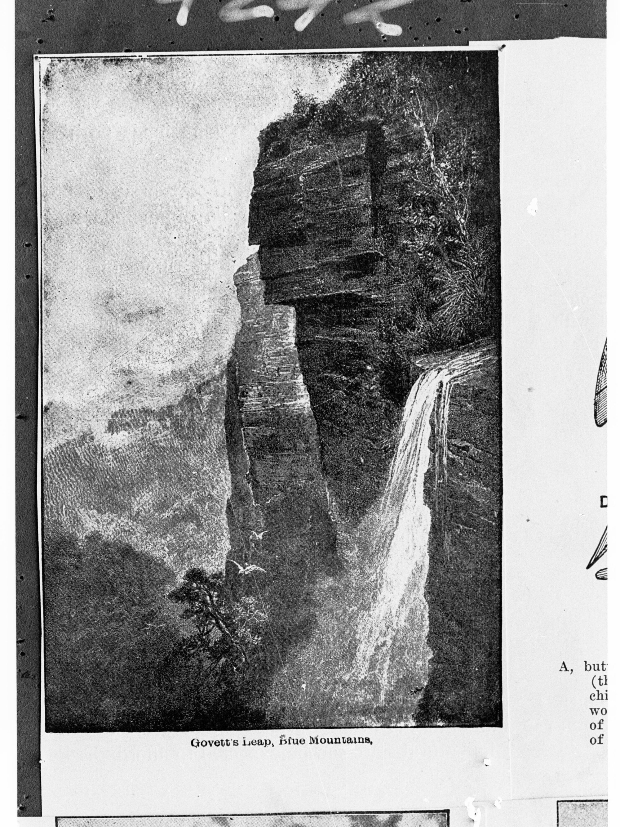 Govett's Leap, Blue Mountains