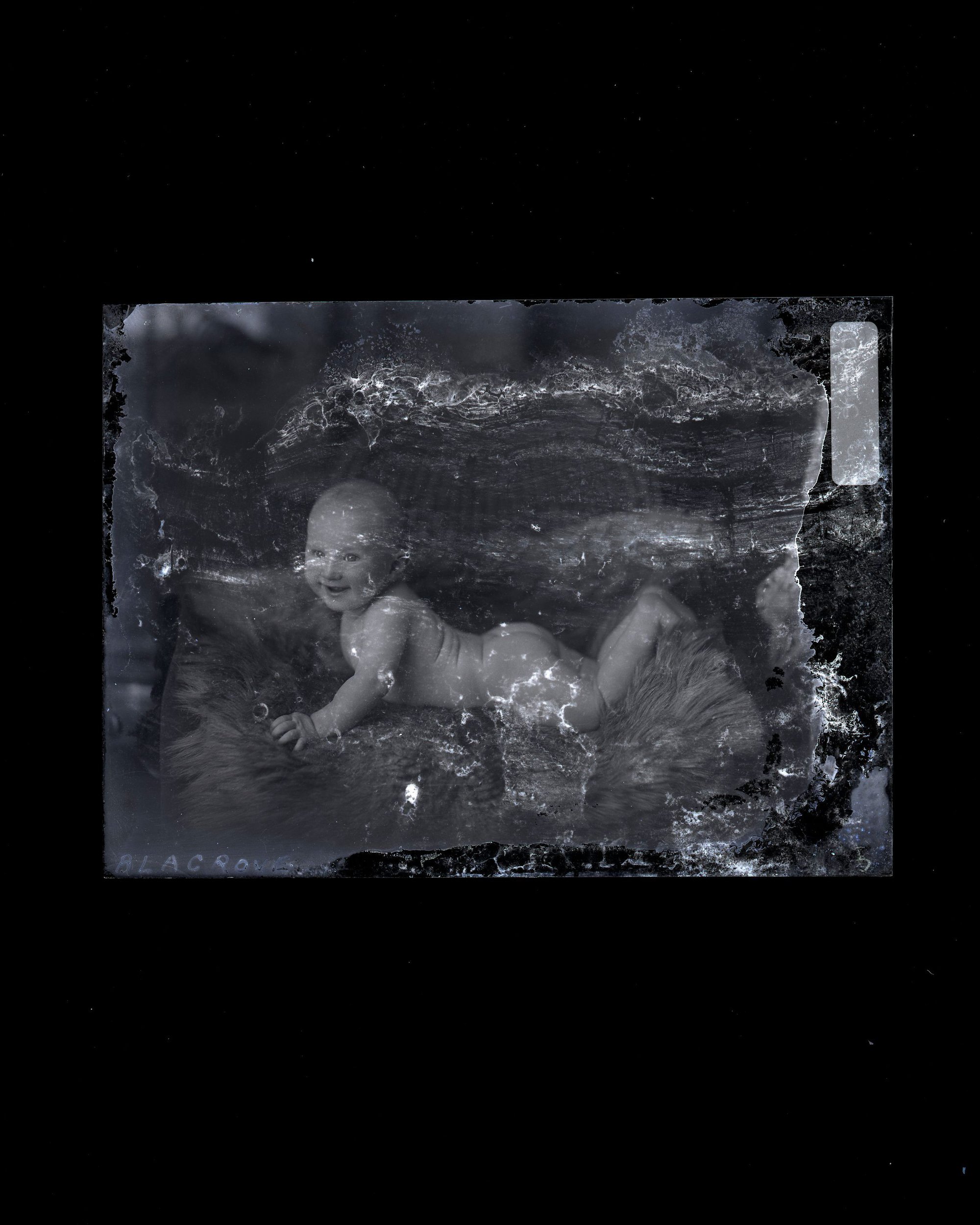 Infant - Blagrove