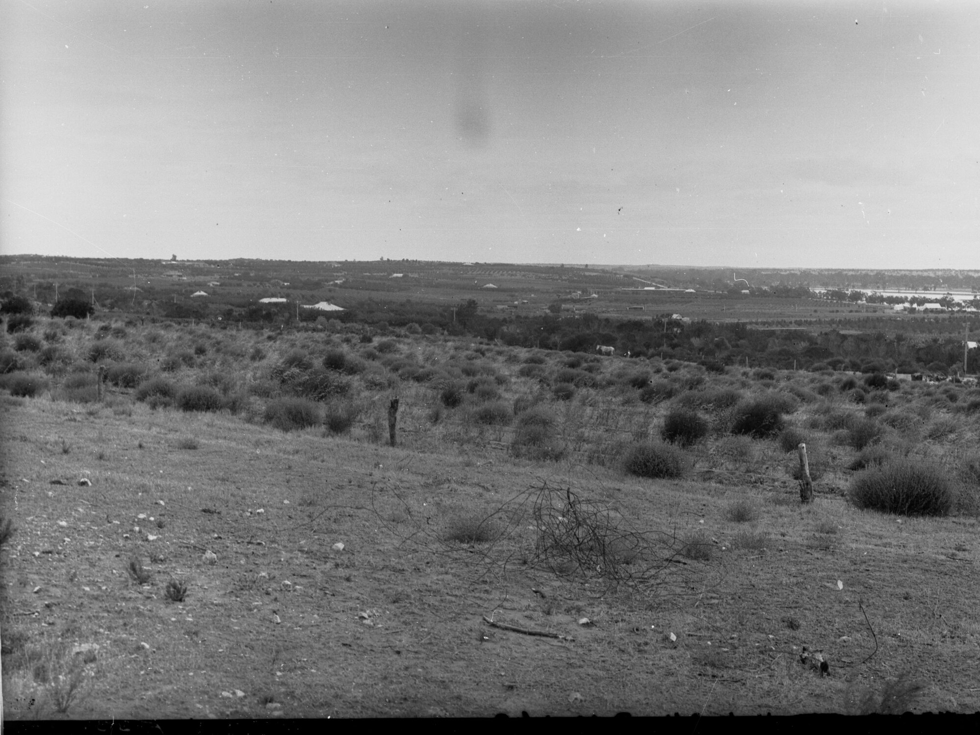 Rural View at Waikerie