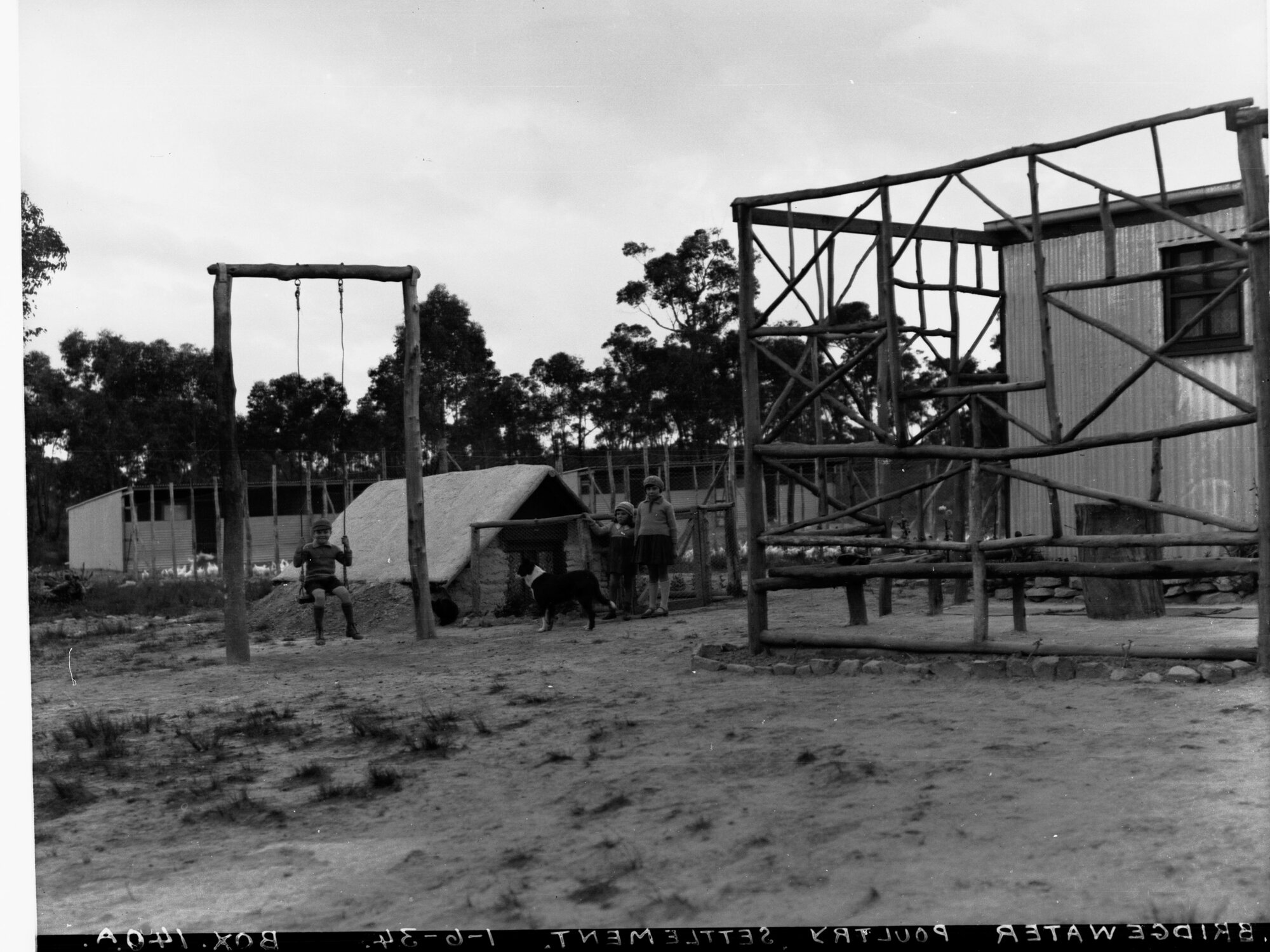 Bridgewater Poultry Settlement