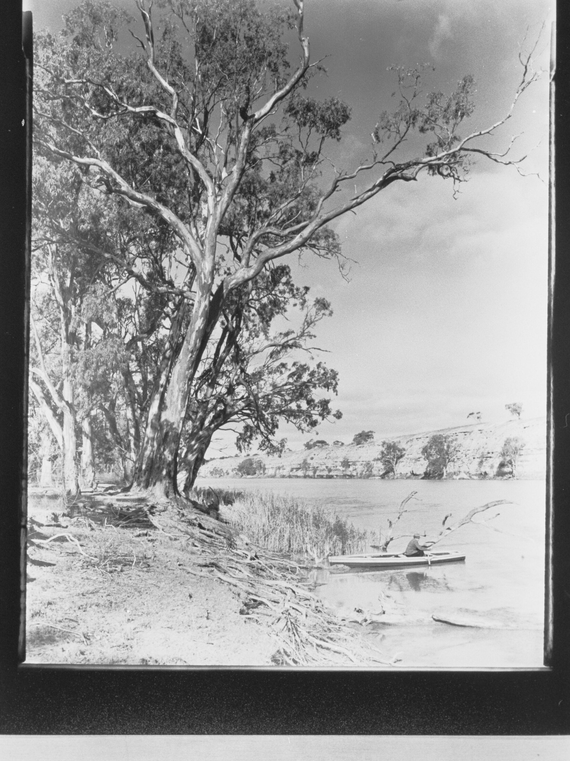 Swan Reach - River Murray