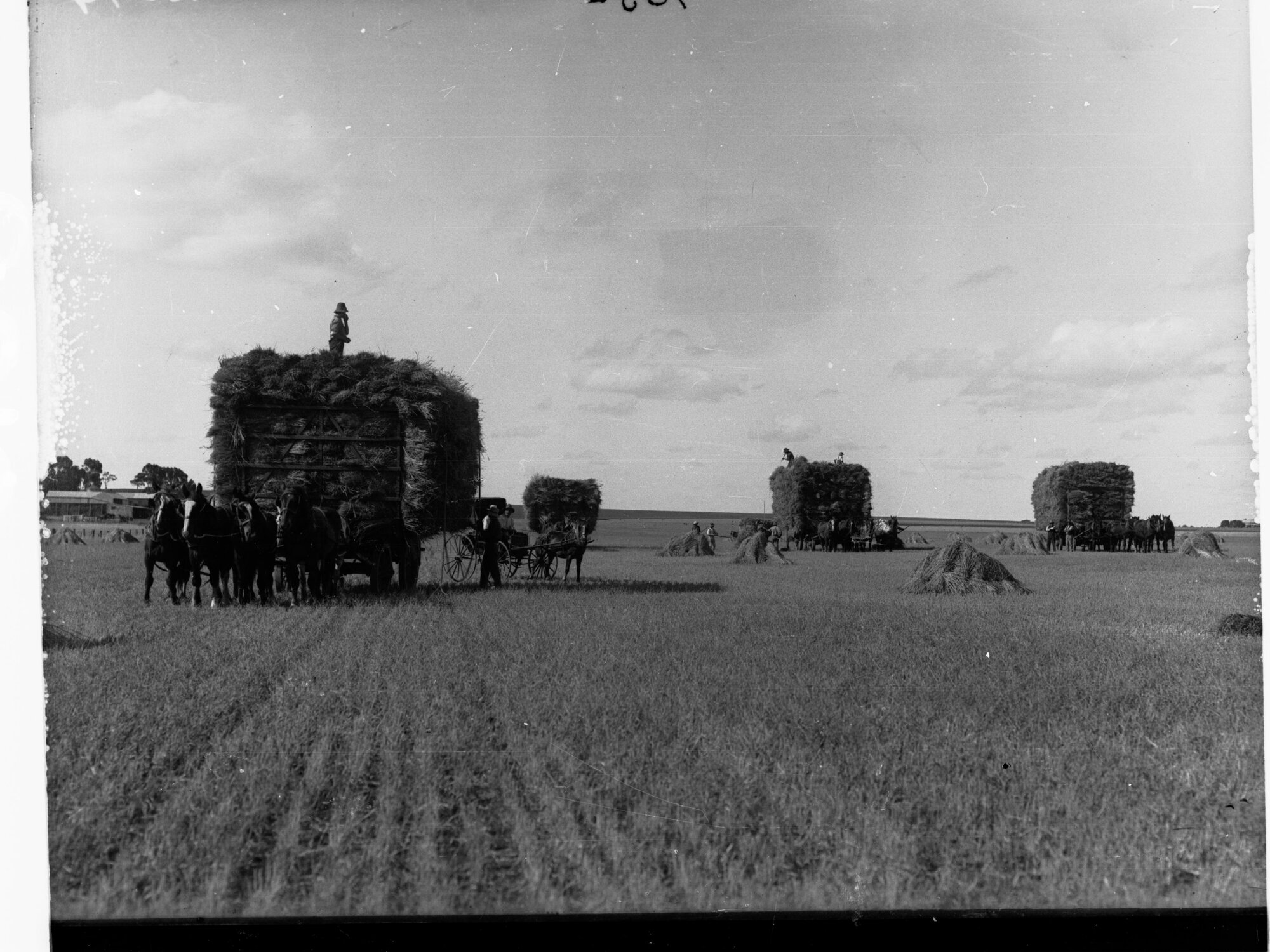 Hay Carting Saddleworth