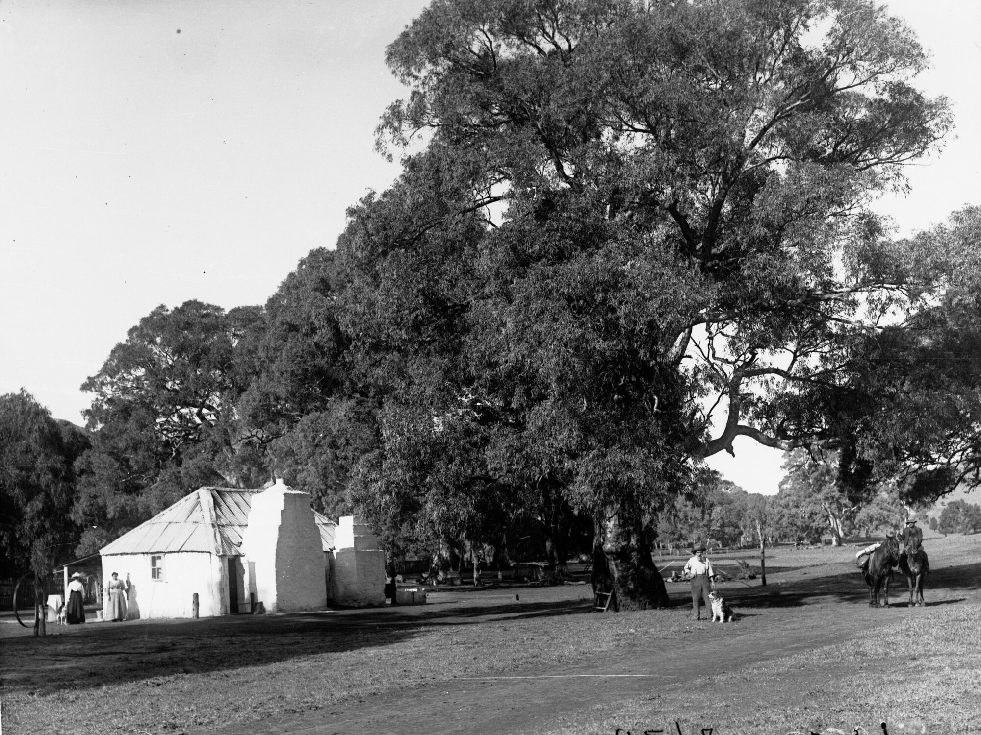 Rural View showing house, women near house