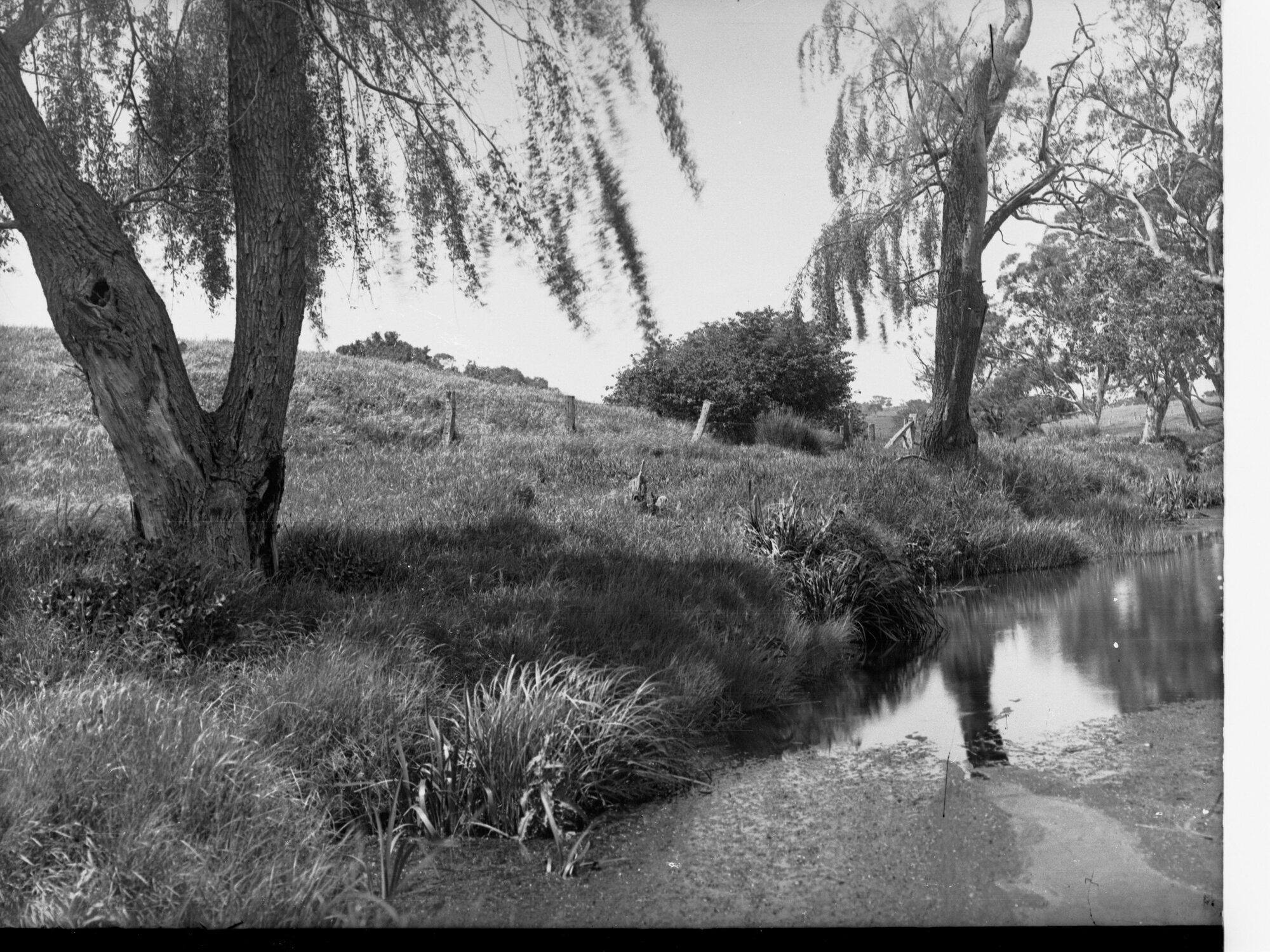 Mount Barker Springs