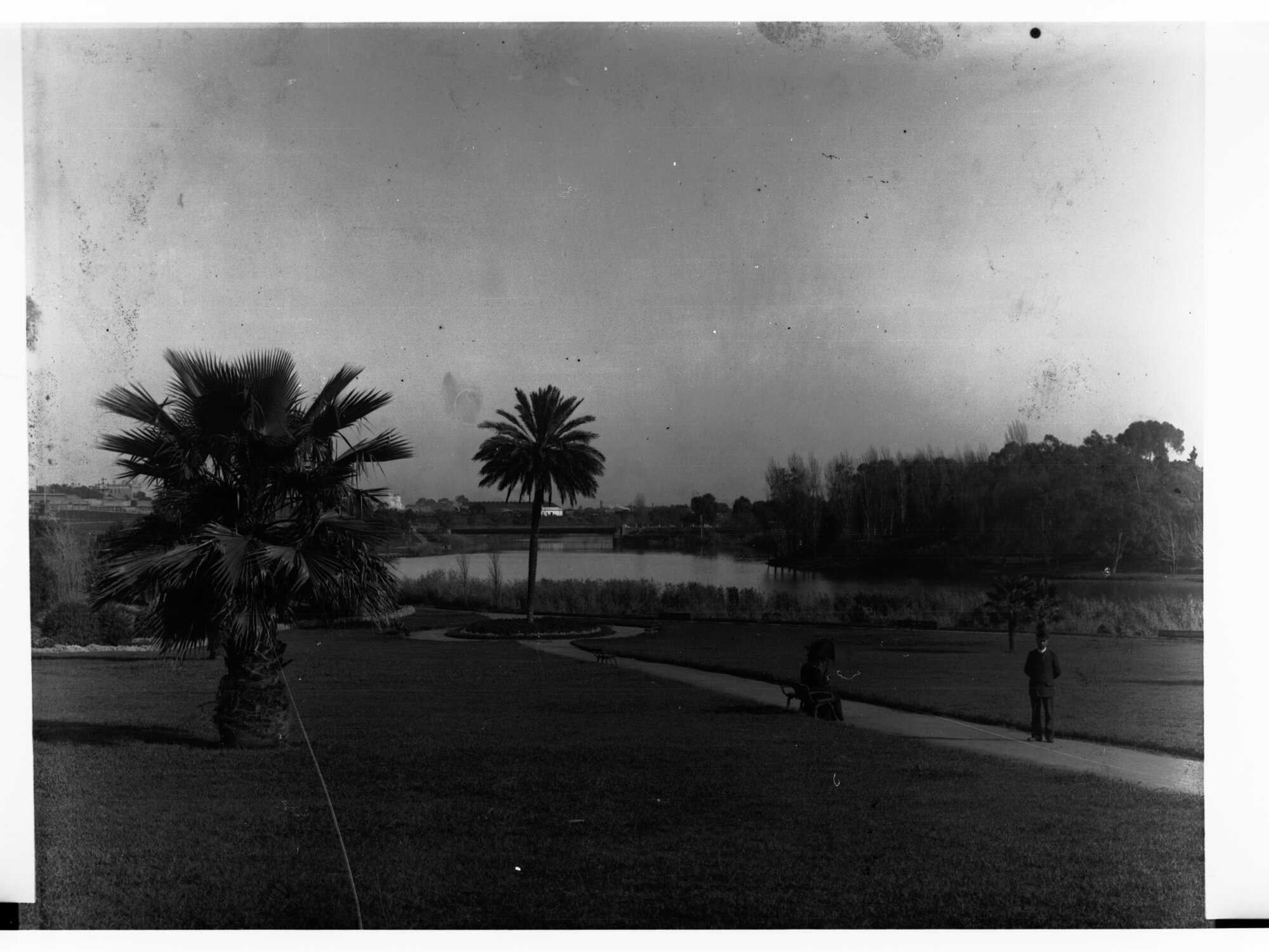 River Torrens Showing Elder Park