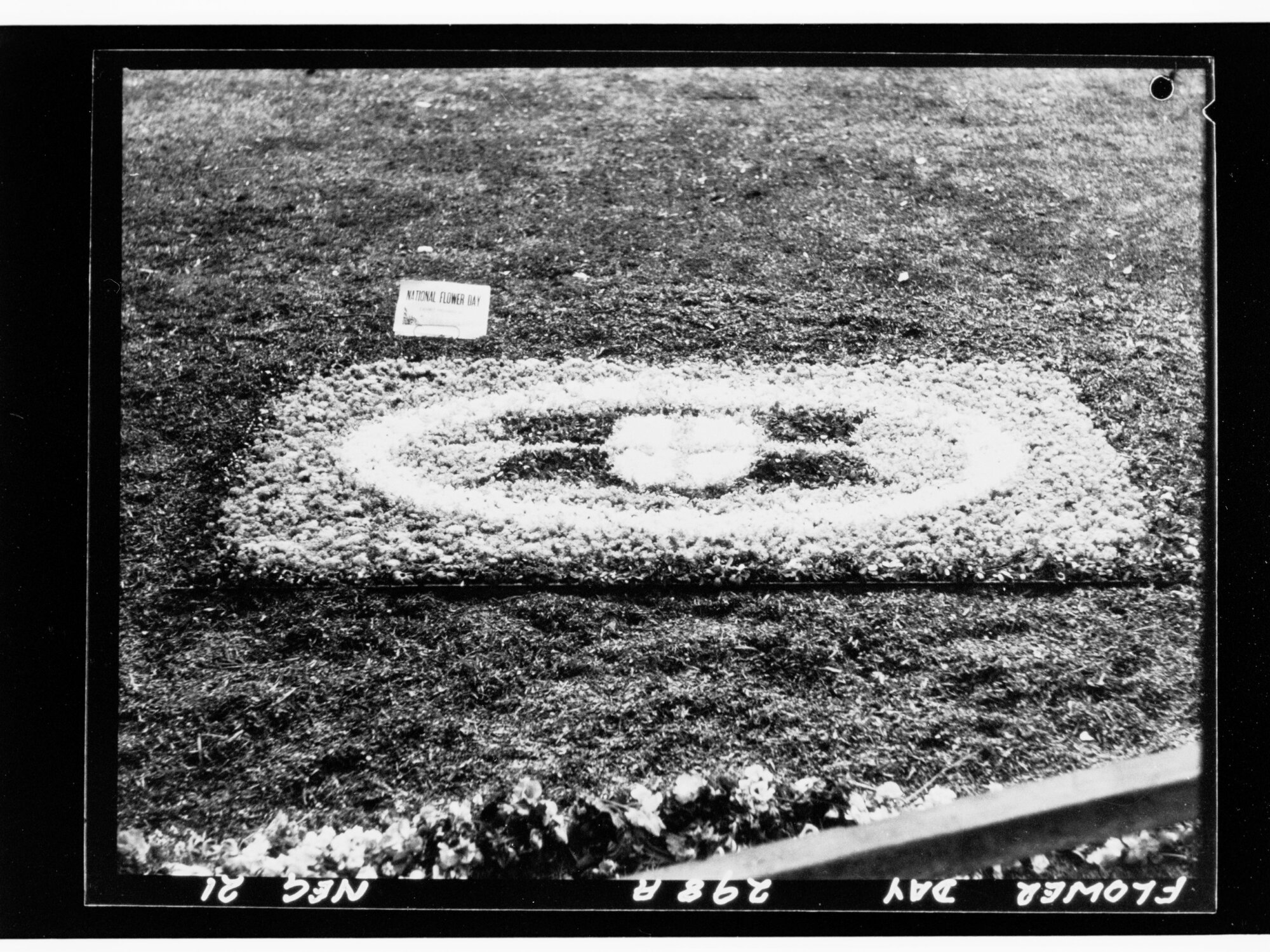 Flower Day - exhibit in ground
