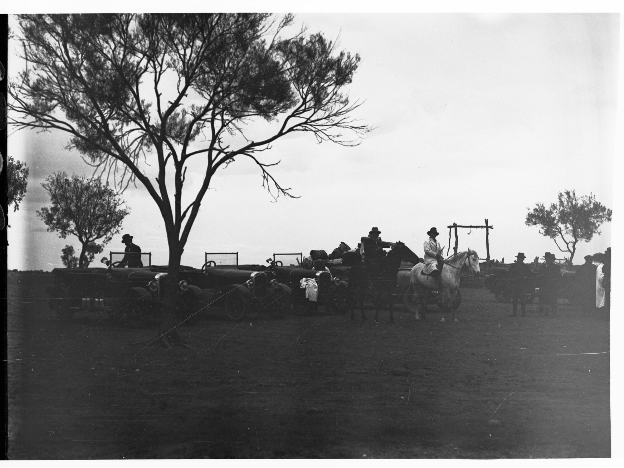 Parliamentary party on tour of Far North in Austin cars (government cars) - shows men on horses