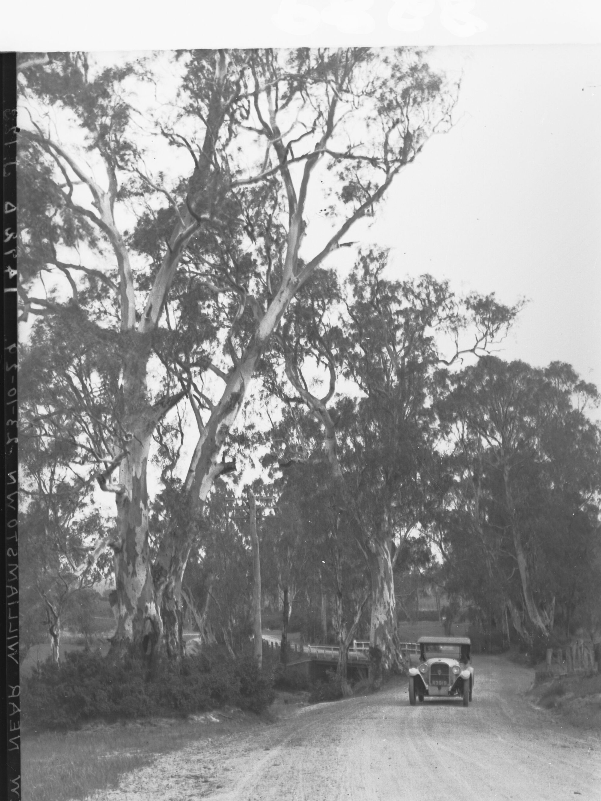 Automobile on a Road Near Williamstown