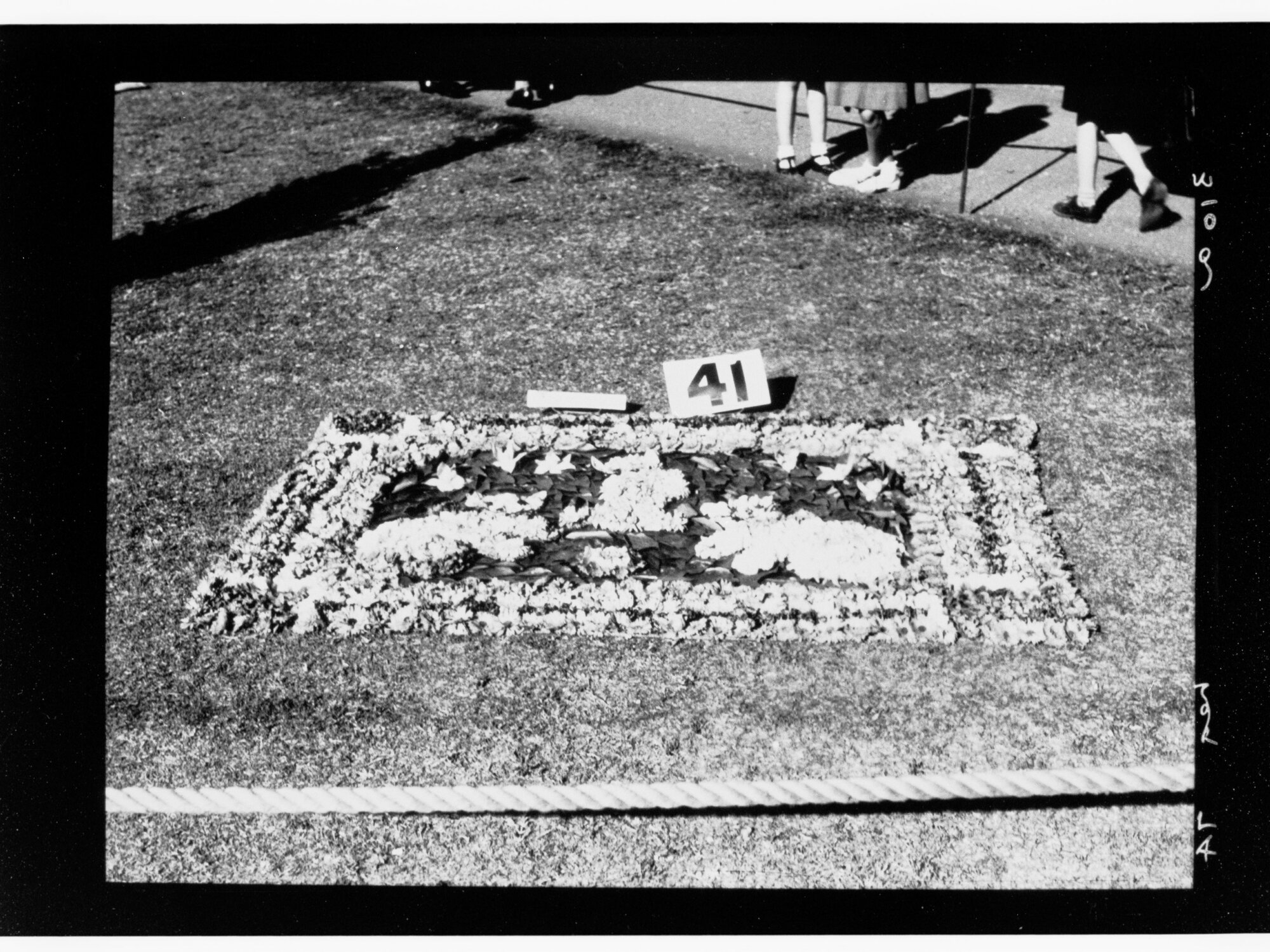 National Flower Day Festival held in Adelaide on the 21st September 1949