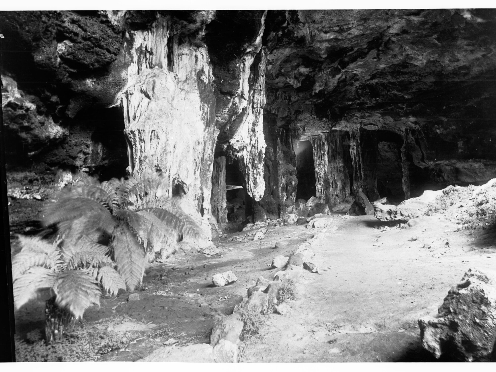 Naracoorte Caves