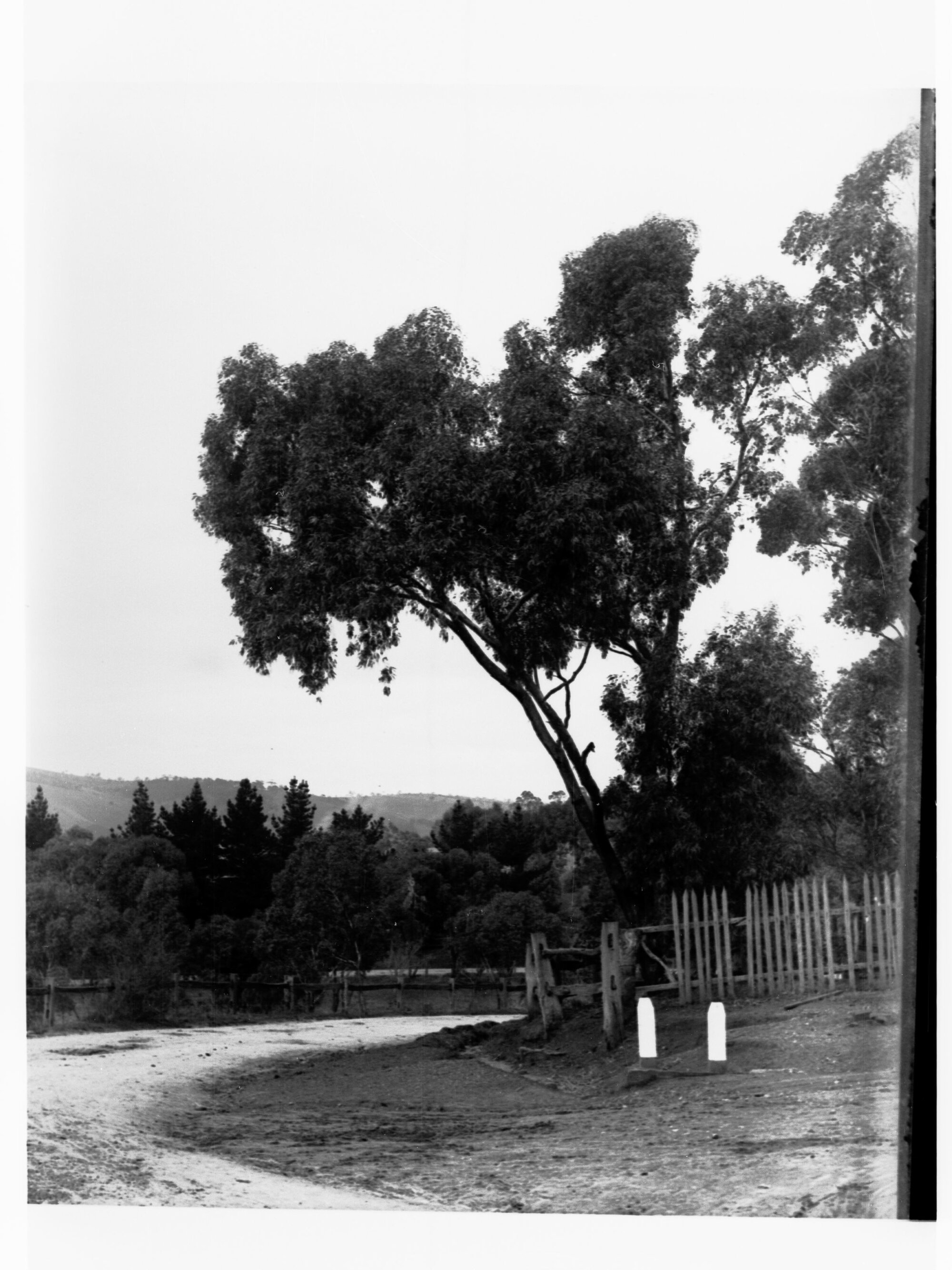Road and fencing at Blackwood