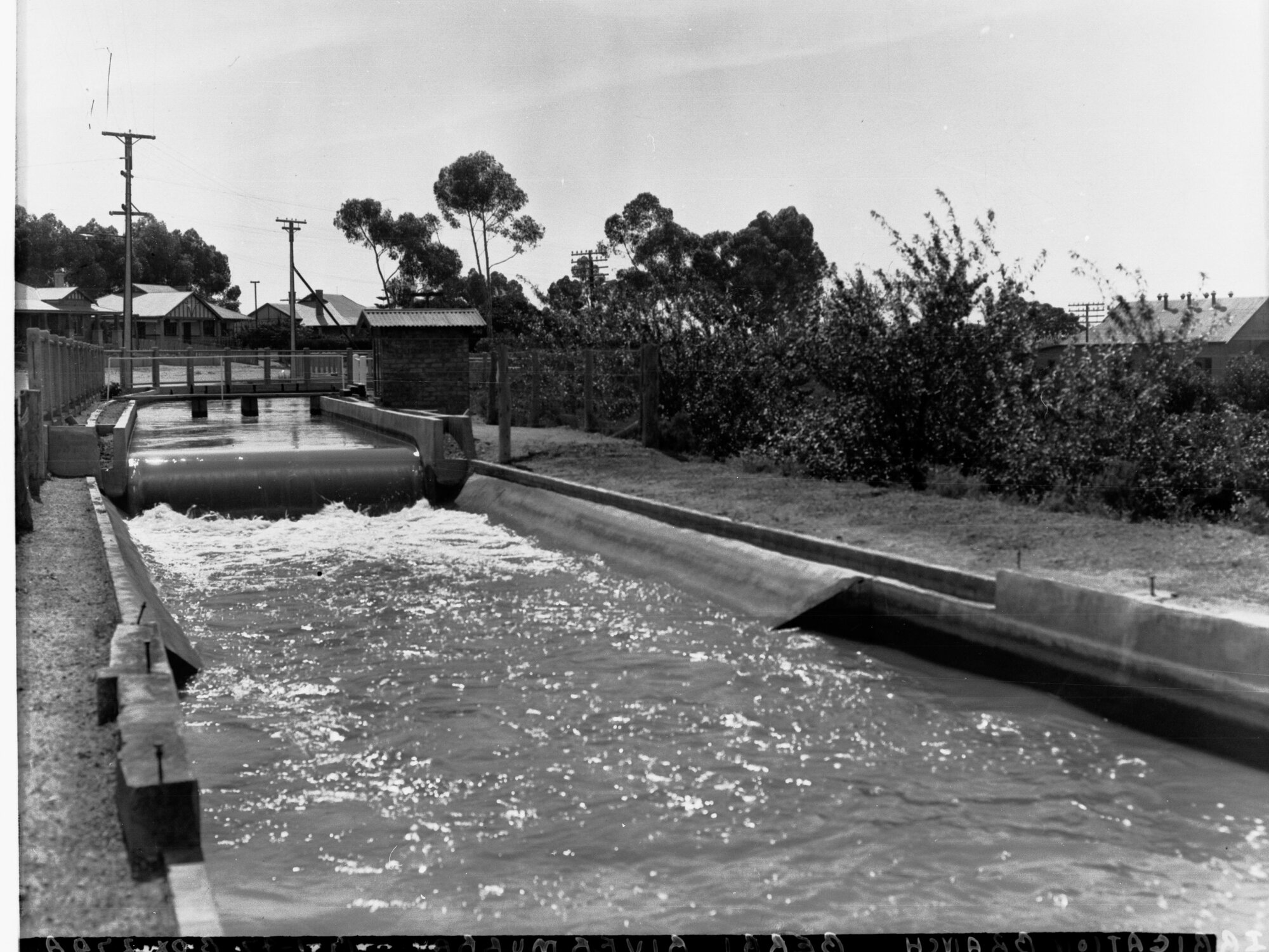 Berri Irrigation Branch - River Murray