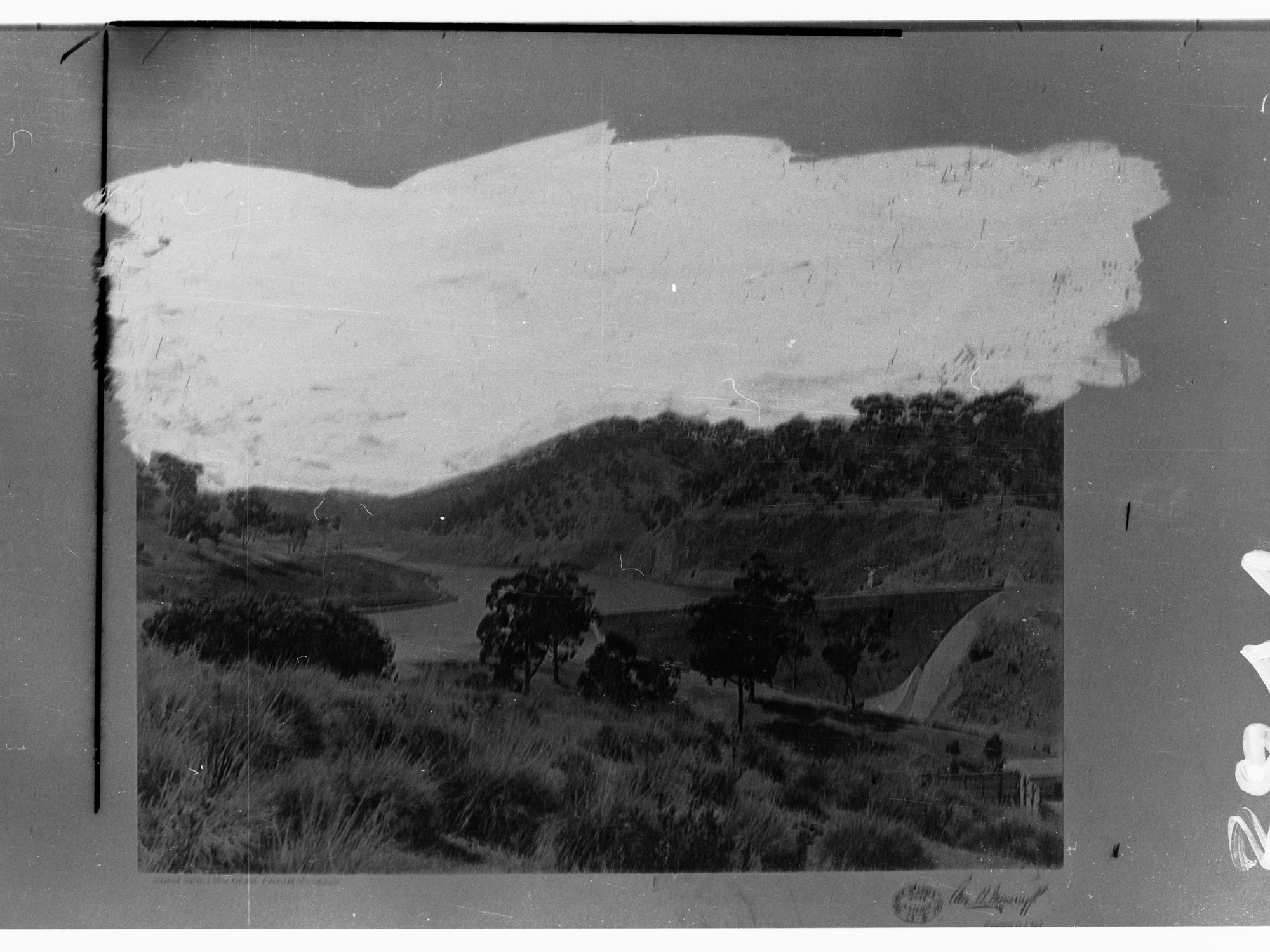 Beetaloo Reservoir - trees on a hill near dam