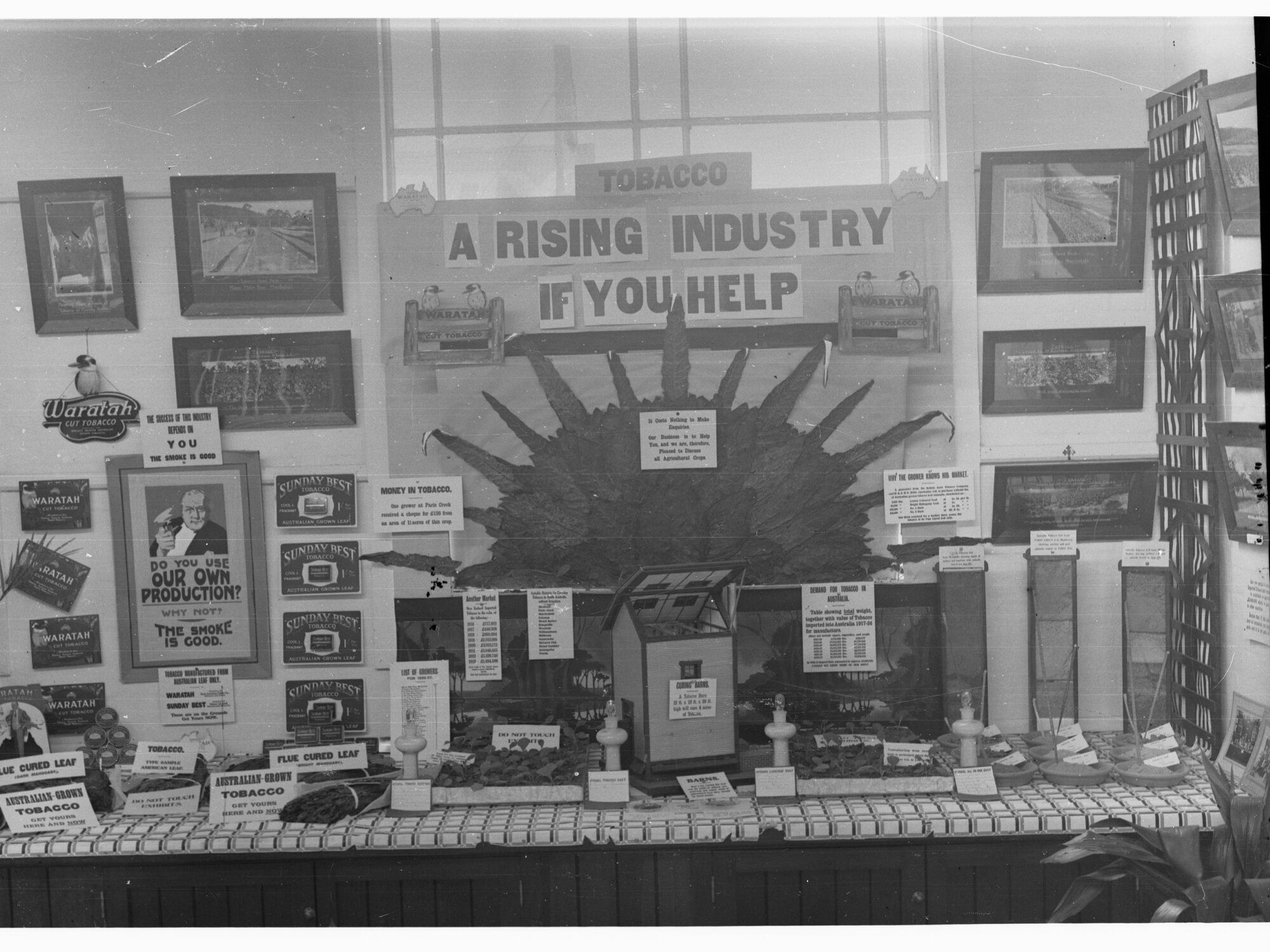 Agricultural Department show - tobacco exhibit