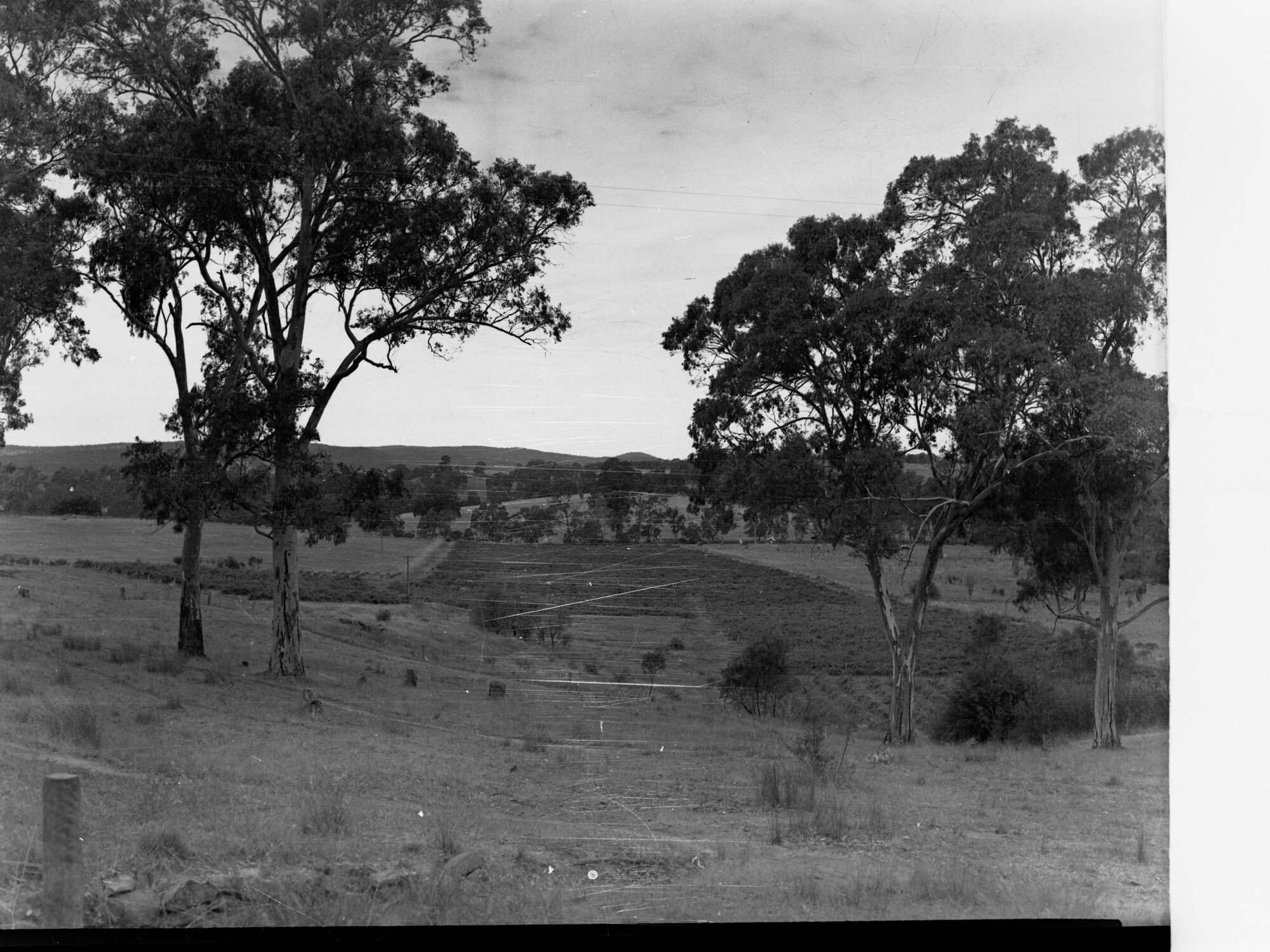 Engineering and Water Supply Rural View of Williamstown