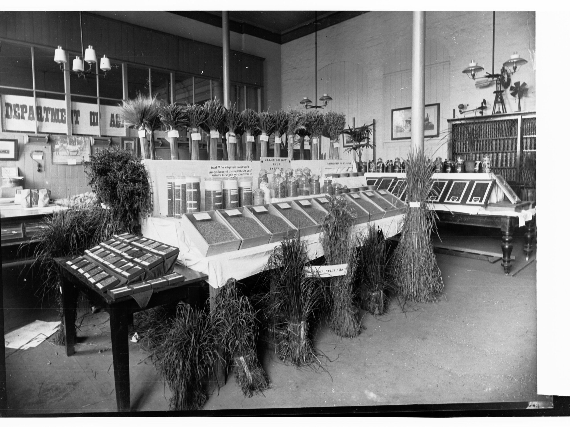 Agriculture Exhibit